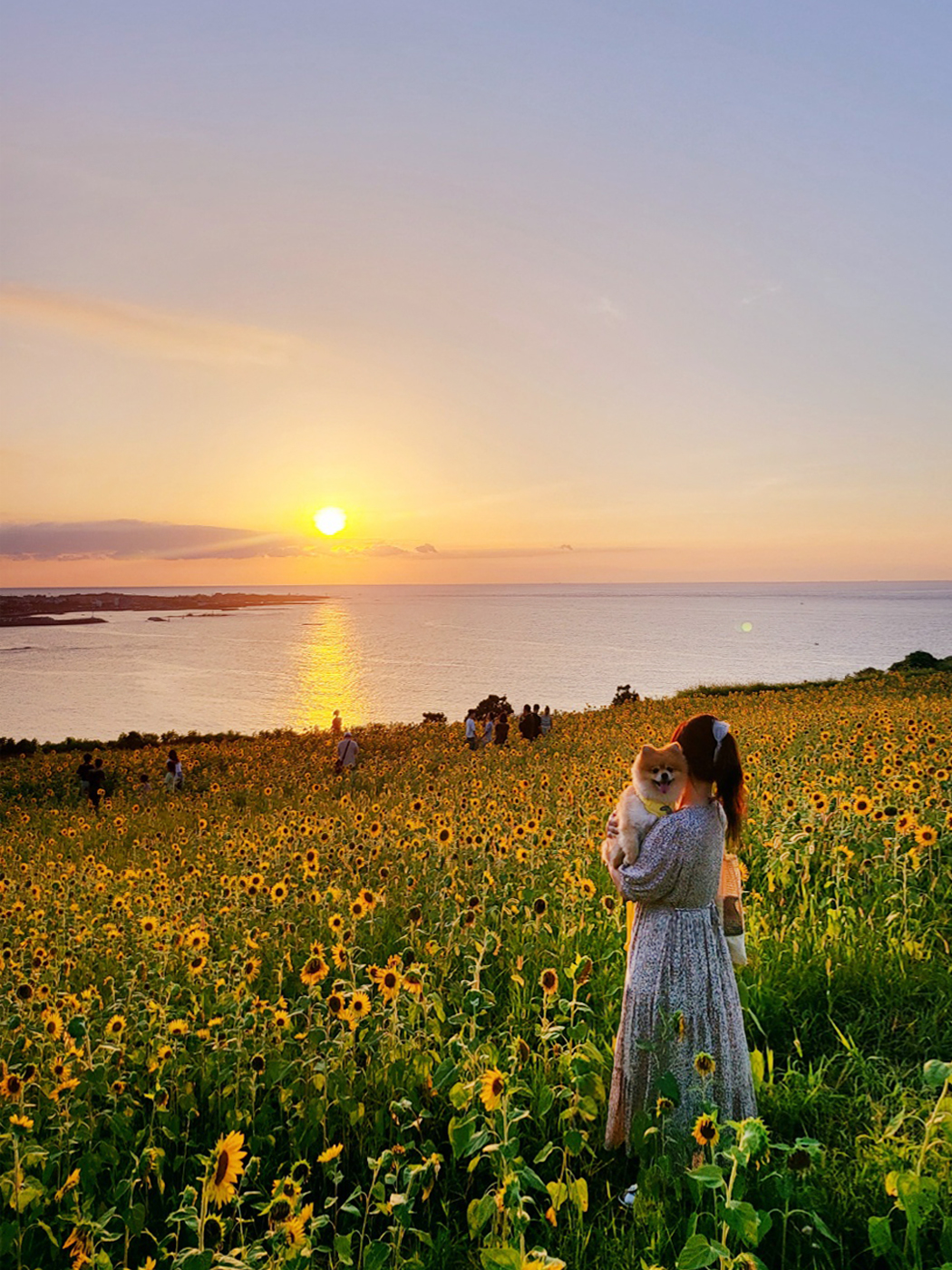 뽀심이(동식이) 입양 후 한달 후기입니다