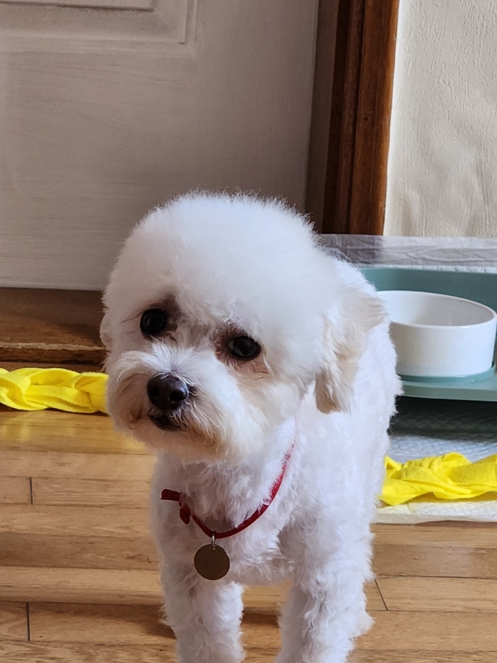 도담이(말랭) 일주일 소식 올려요~