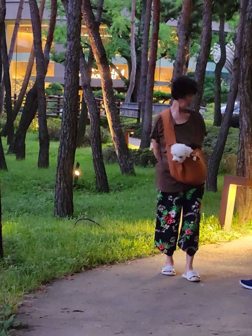 도담이(말랭) 일주일 소식 올려요~