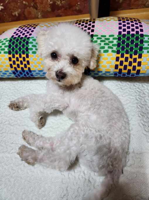 도담이(말랭) 일주일 소식 올려요~