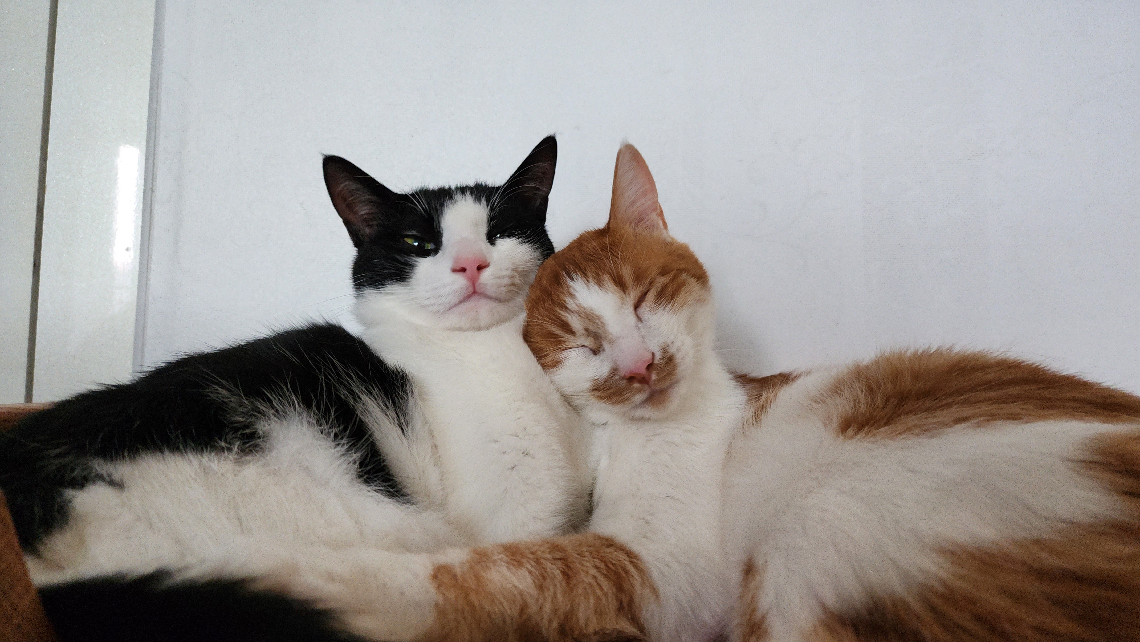 힘찬이와 무럭이와 함께한 1년