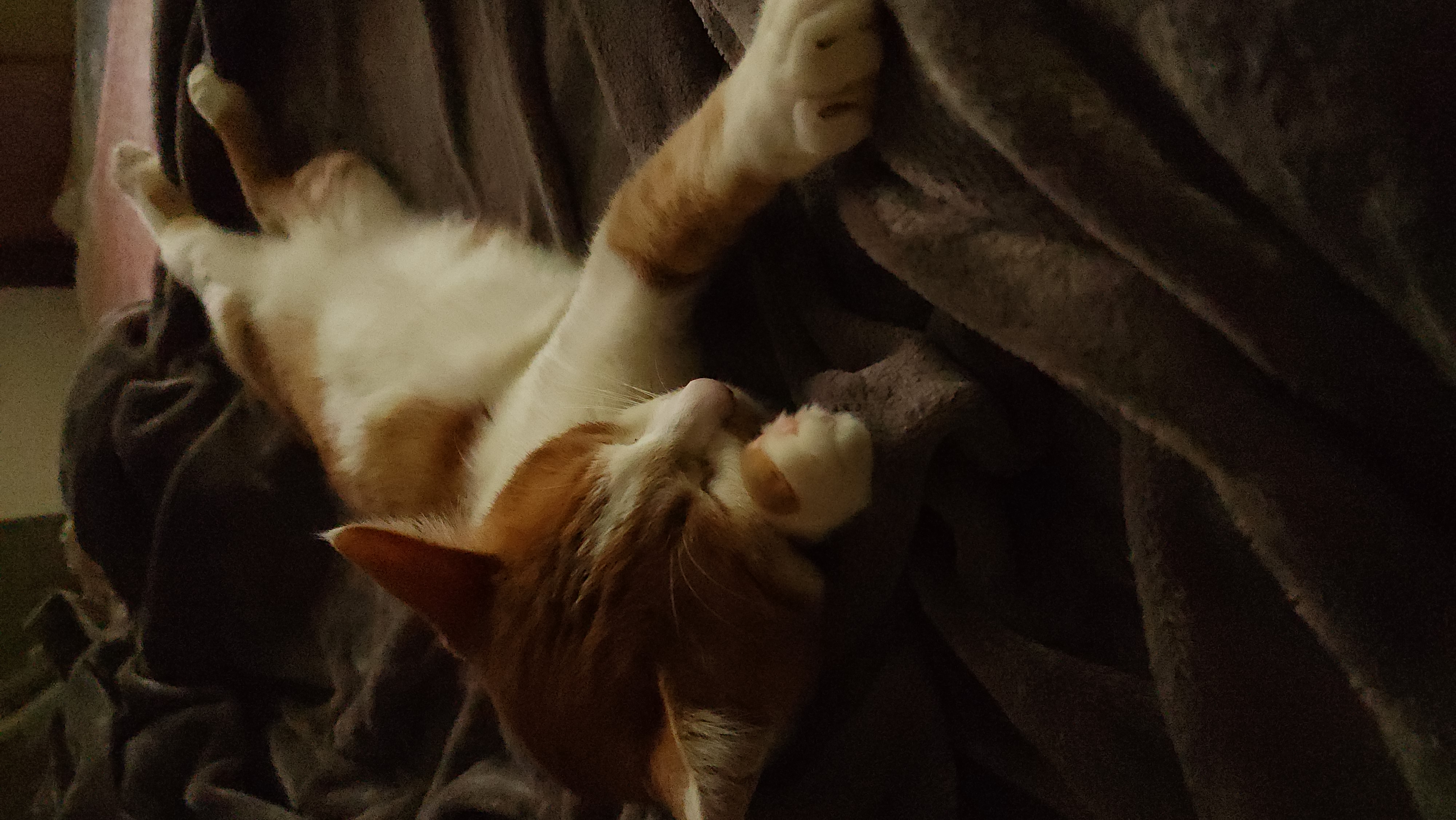 힘찬이와 무럭이와 함께한 1년