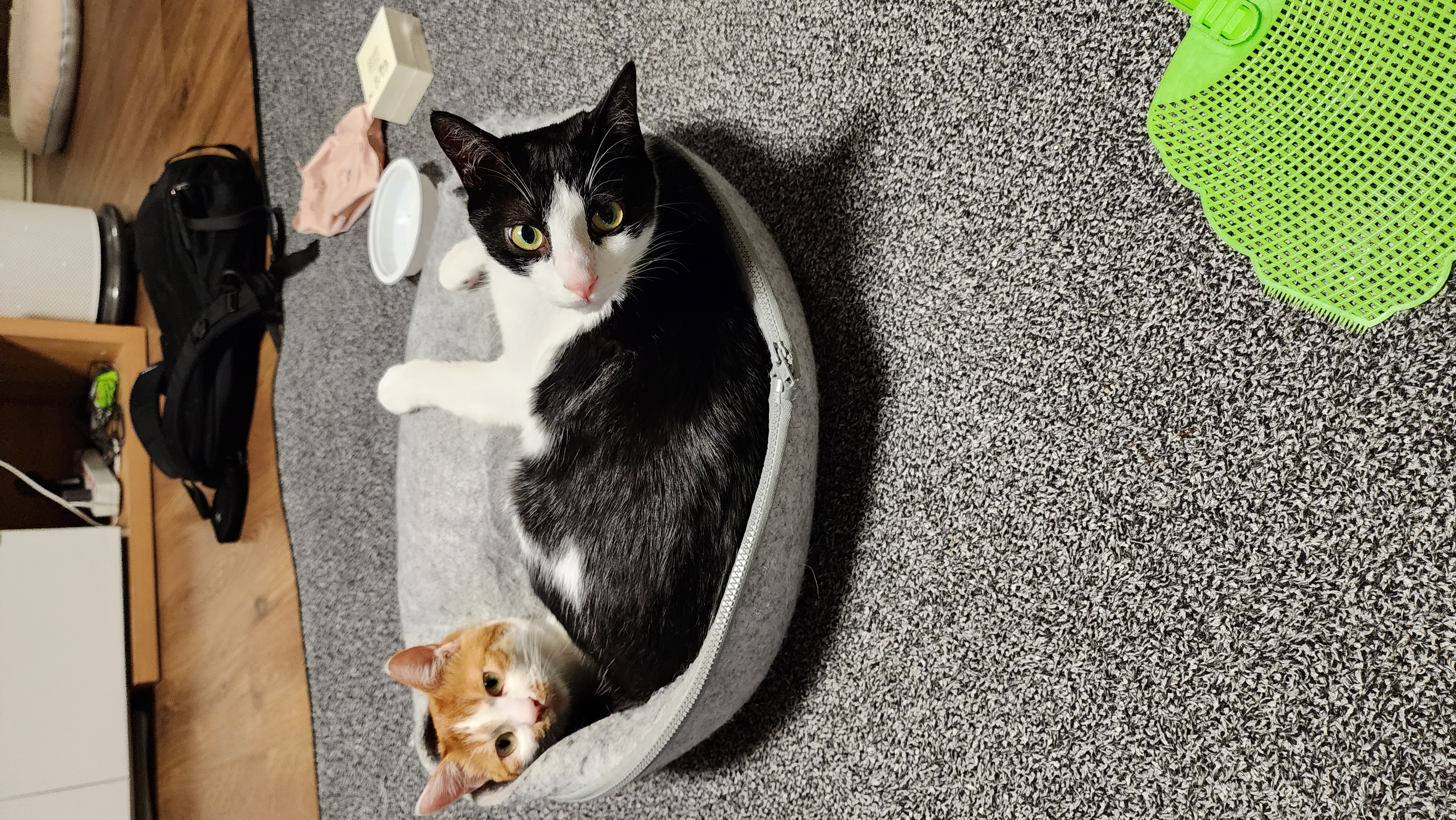 힘찬이와 무럭이와 함께한 1년