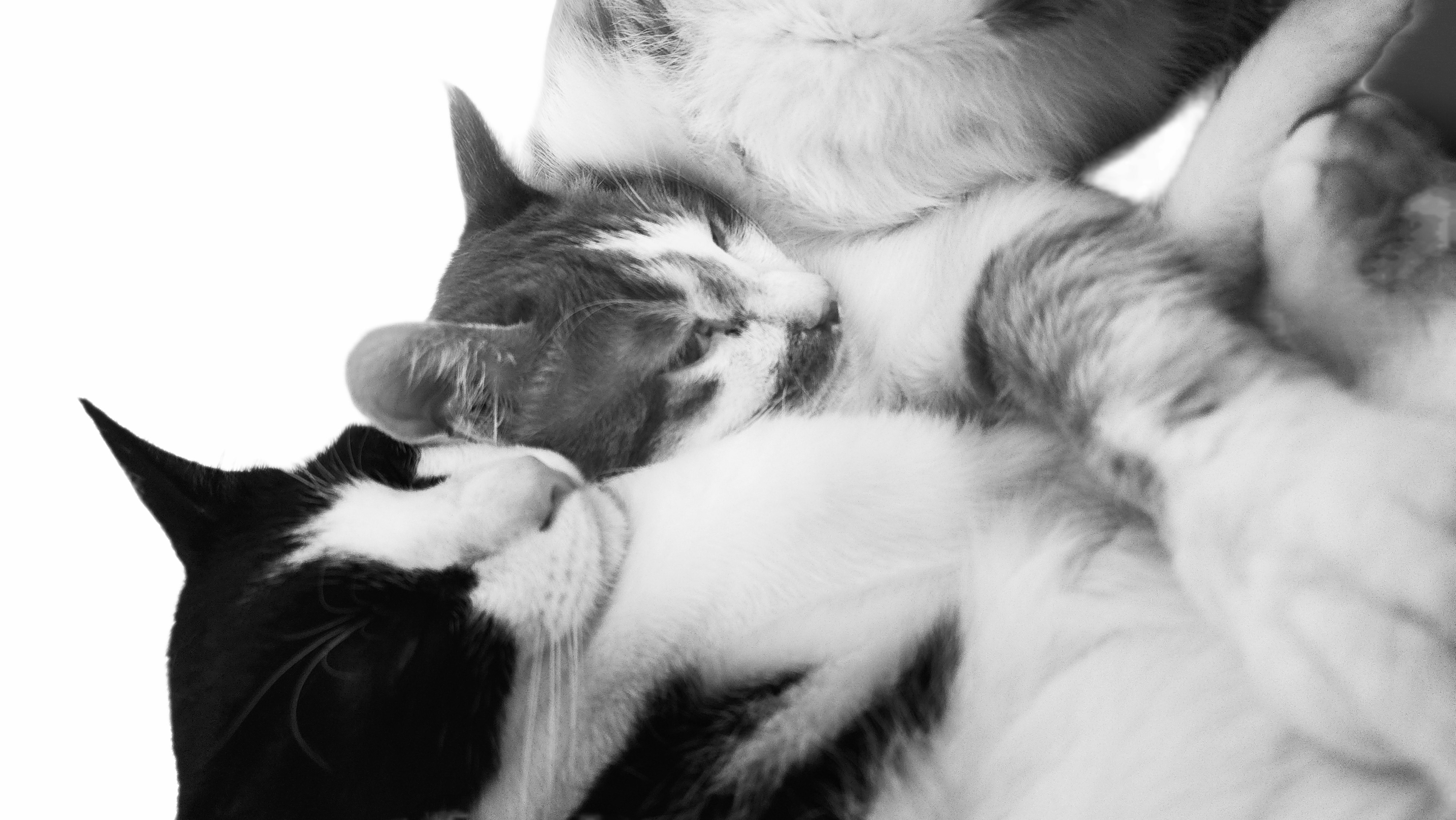 힘찬이와 무럭이와 함께한 1년