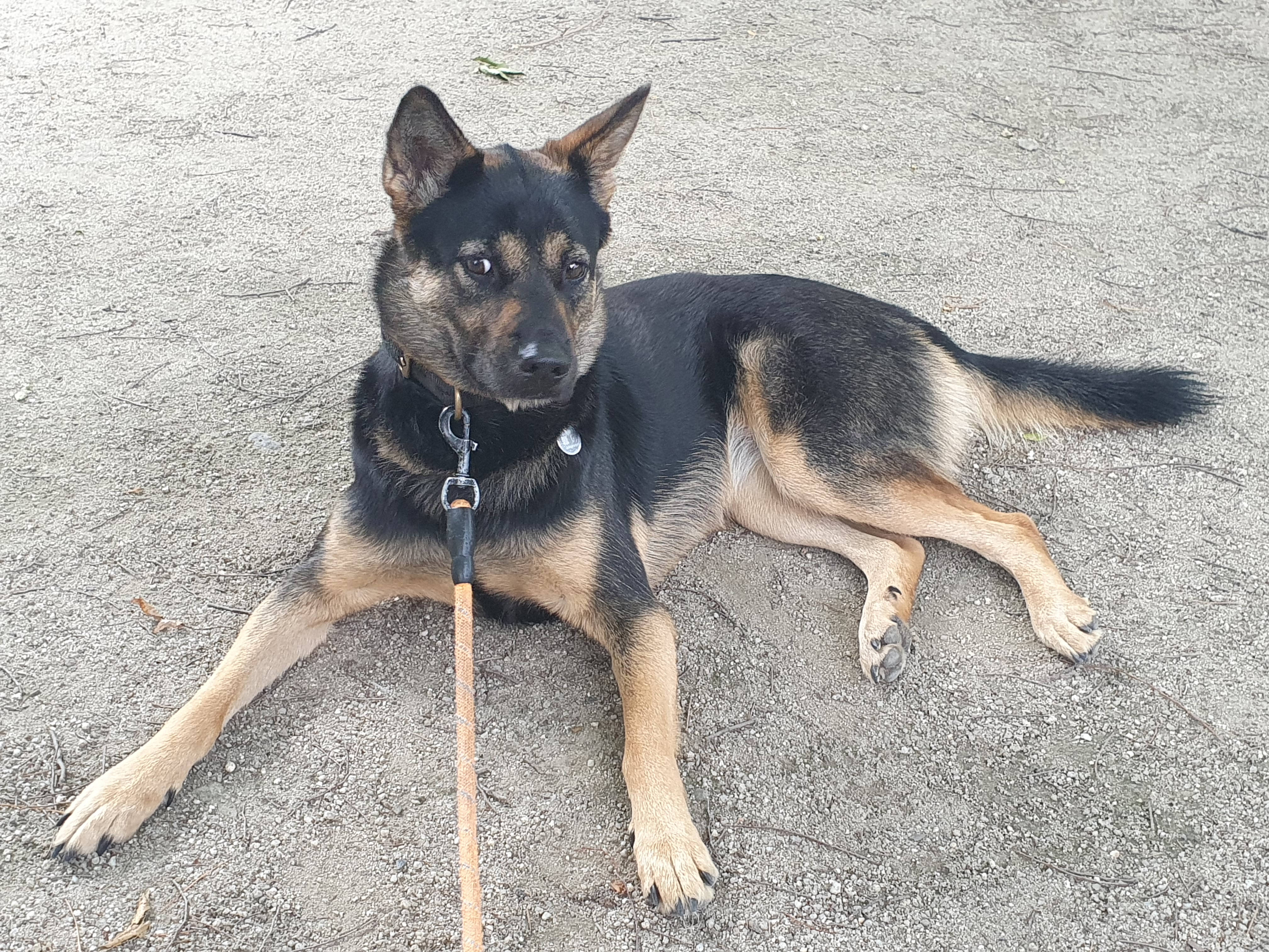 구...곰자    현...콩이