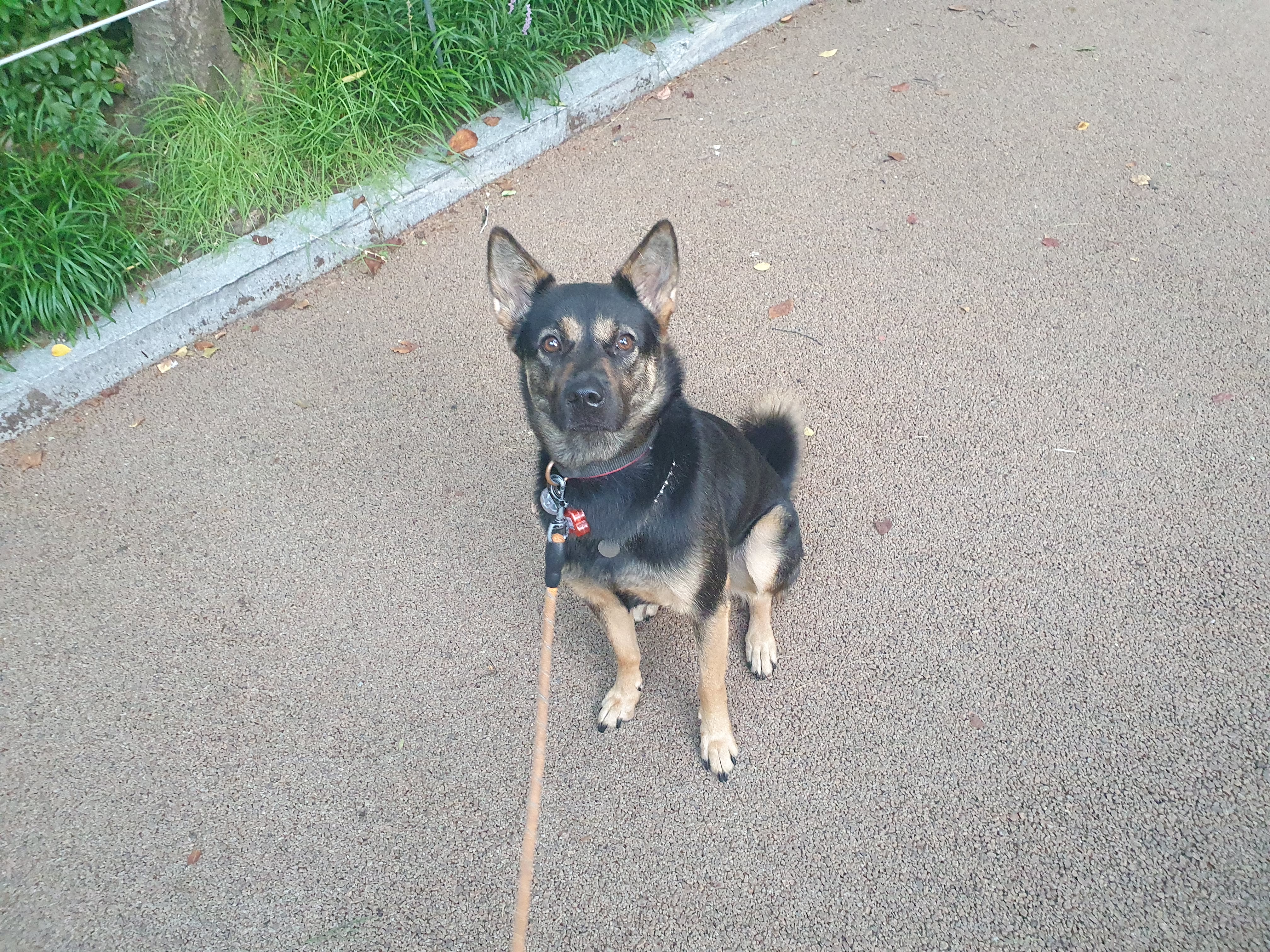 구...곰자    현...콩이