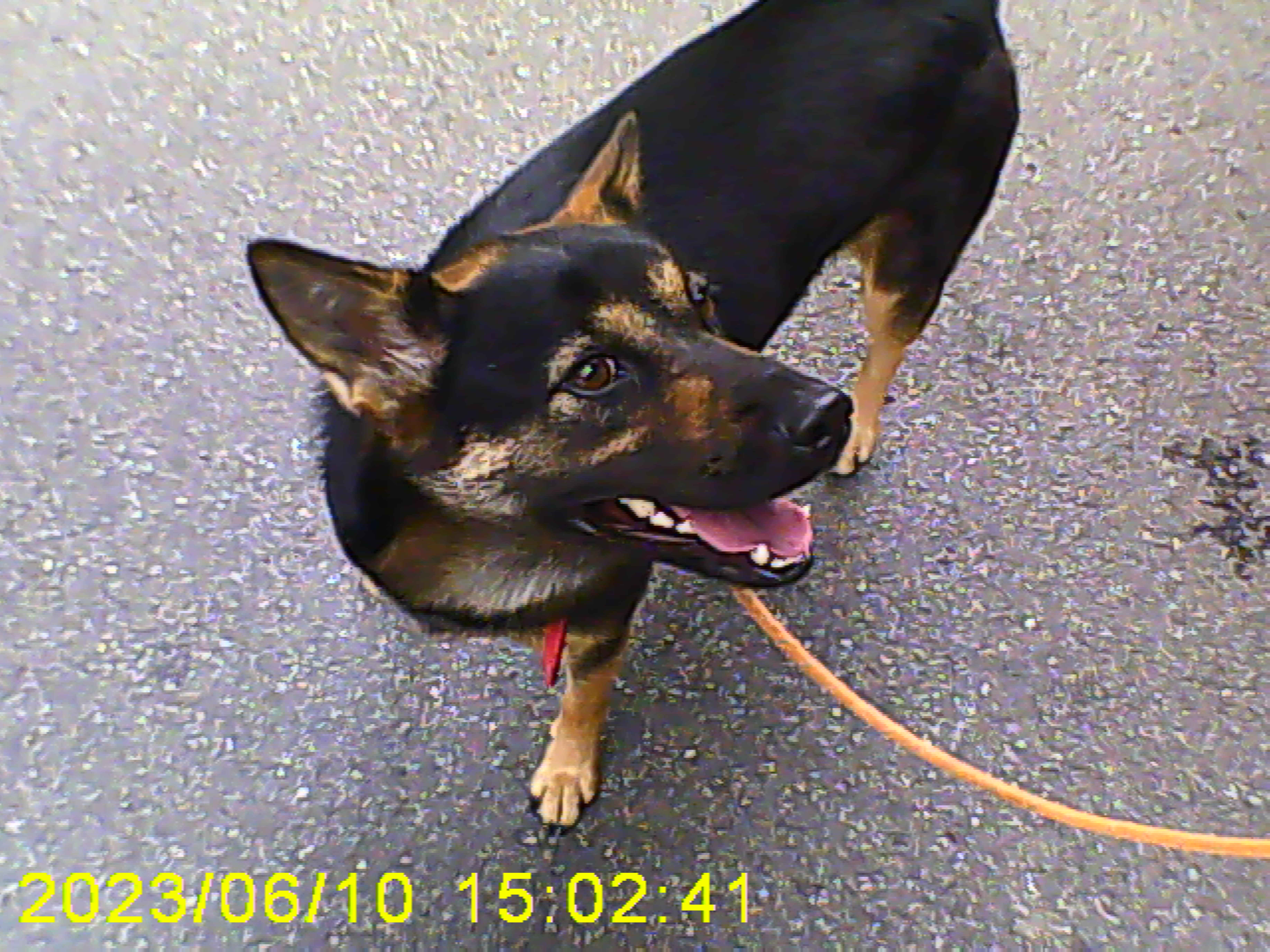 구...곰자    현...콩이