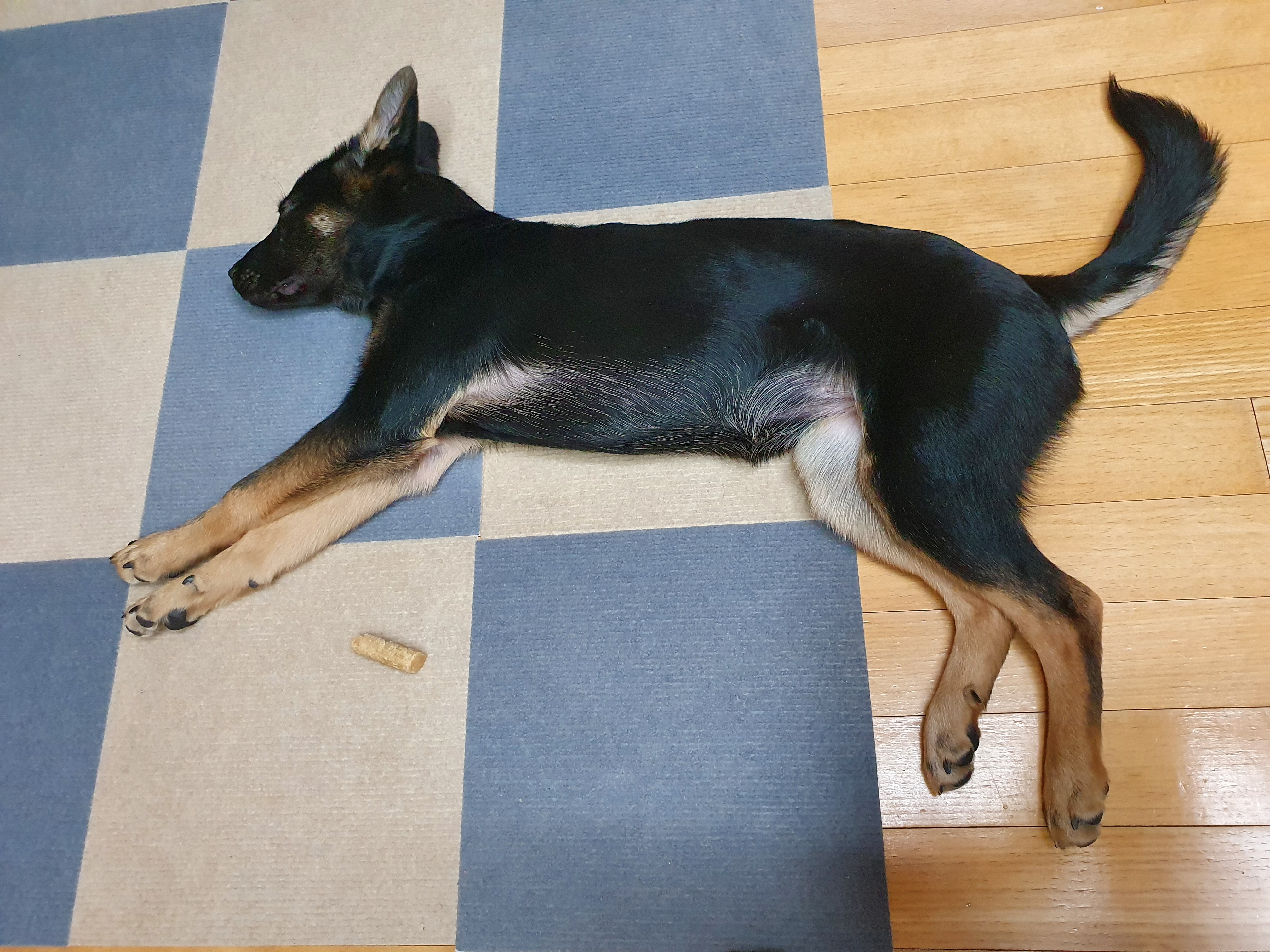 구...곰자    현...콩이