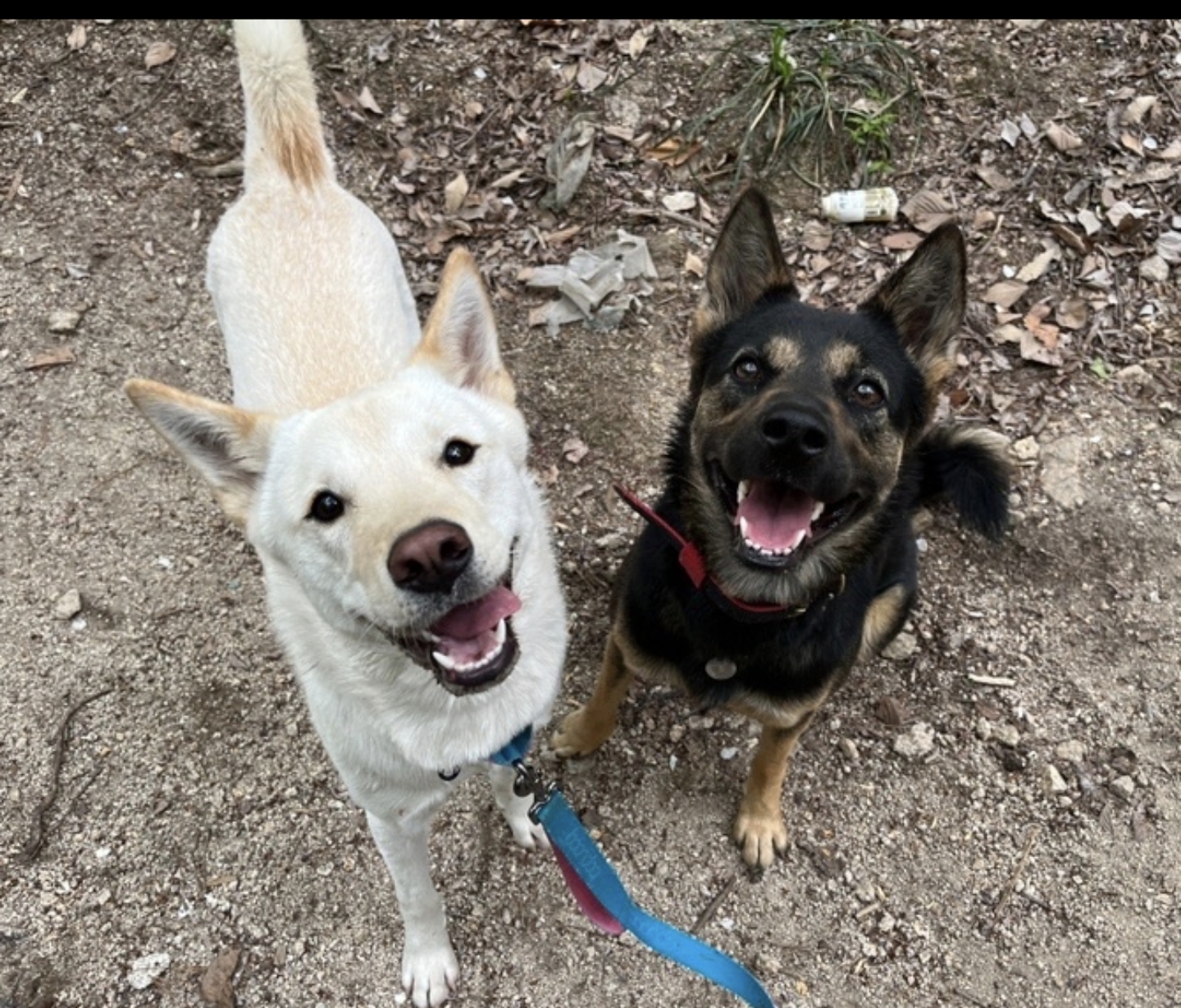 구...곰자    현...콩이