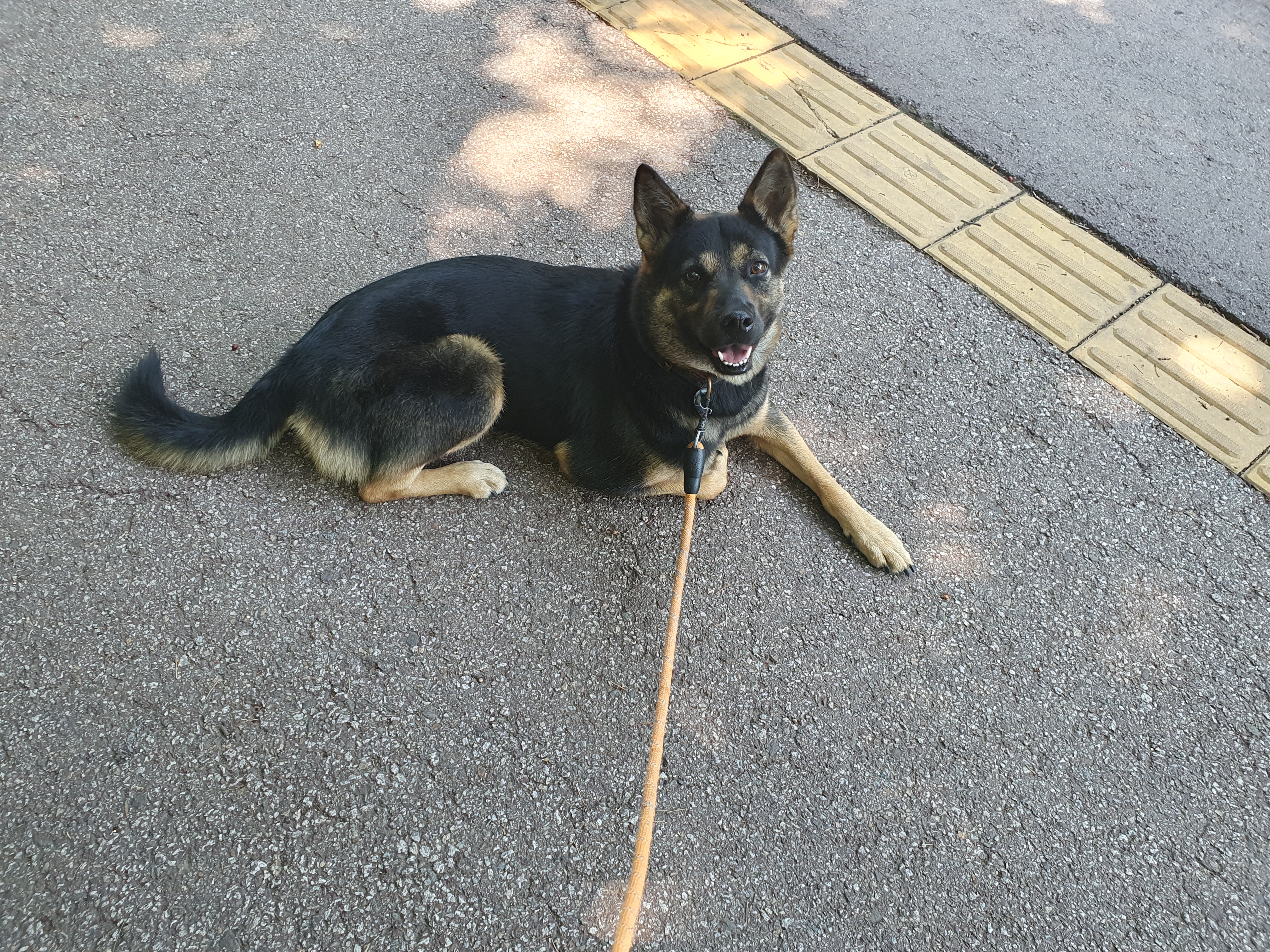 구...곰자    현...콩이