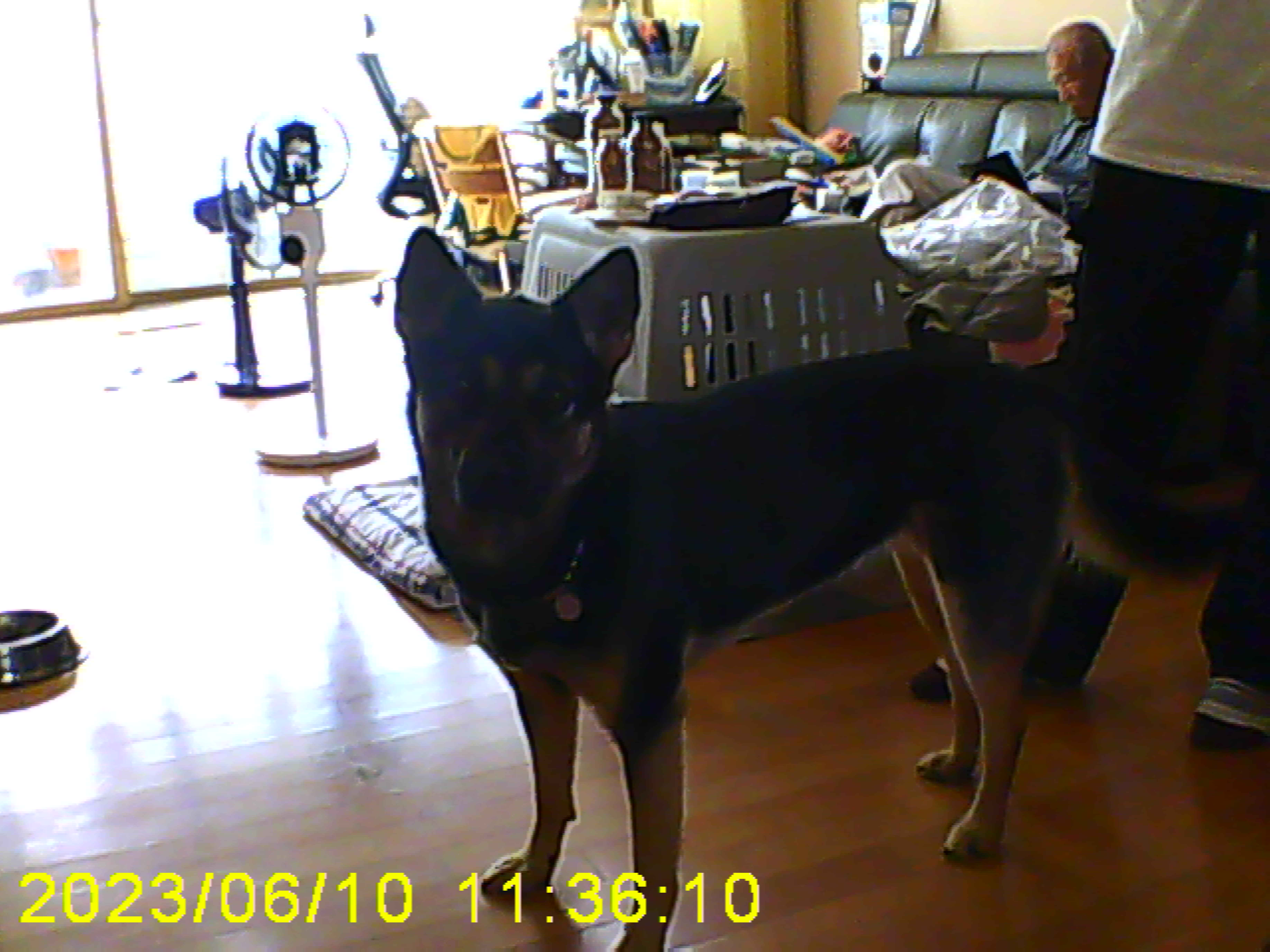 구...곰자    현...콩이