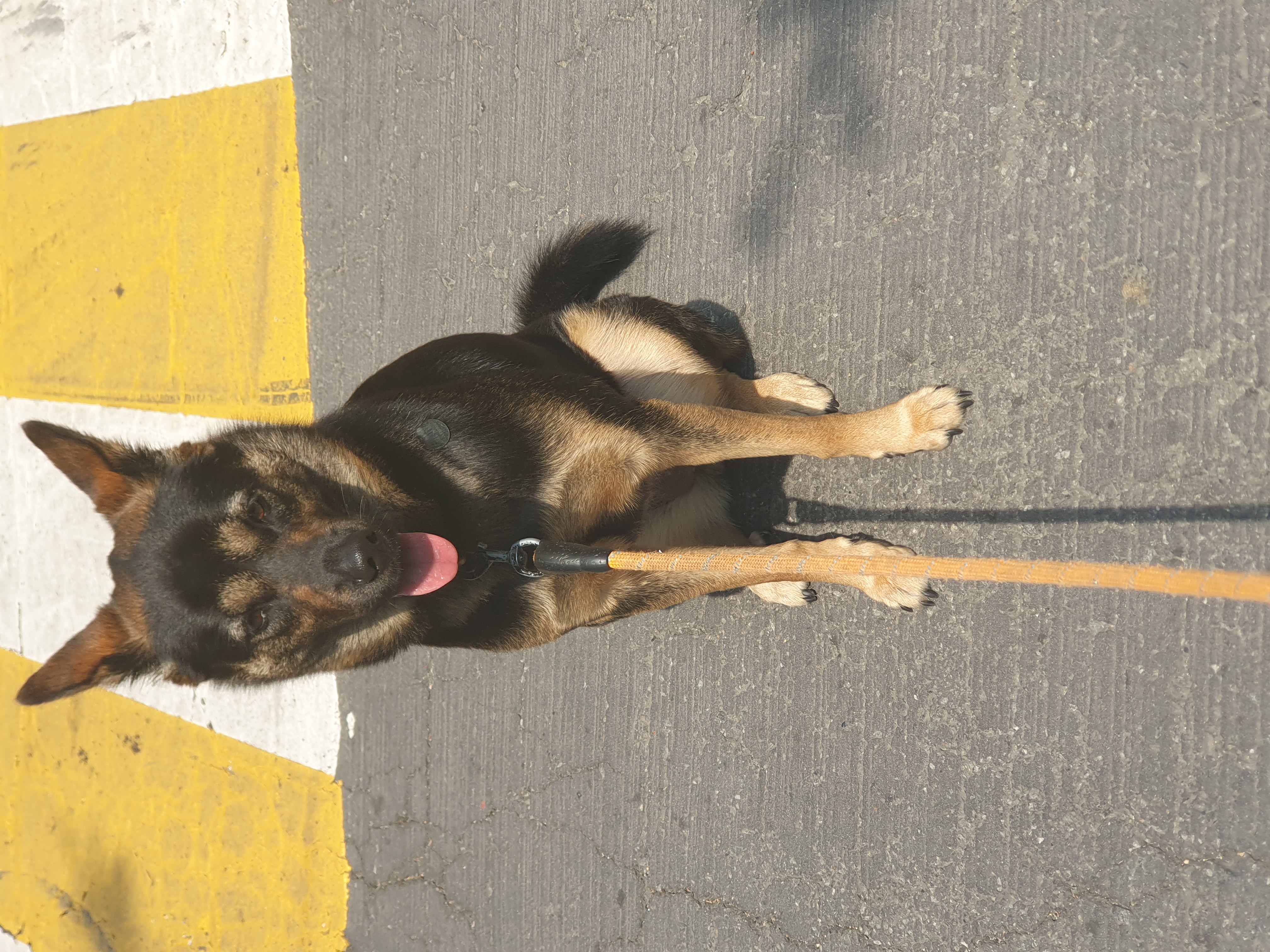 구...곰자    현...콩이