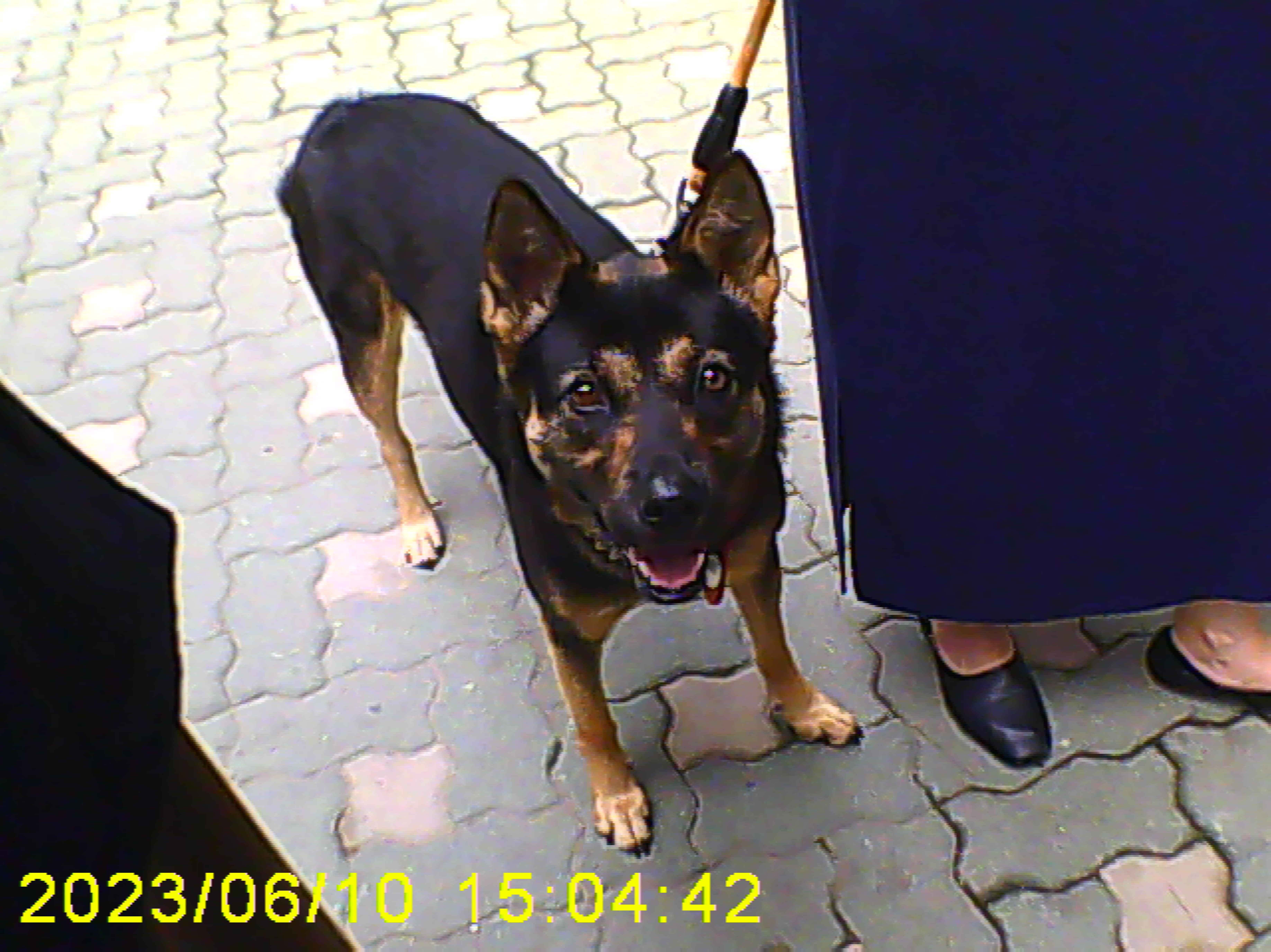 구...곰자    현...콩이