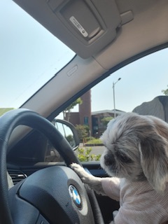 율무 춘식(수수) 뒷담화