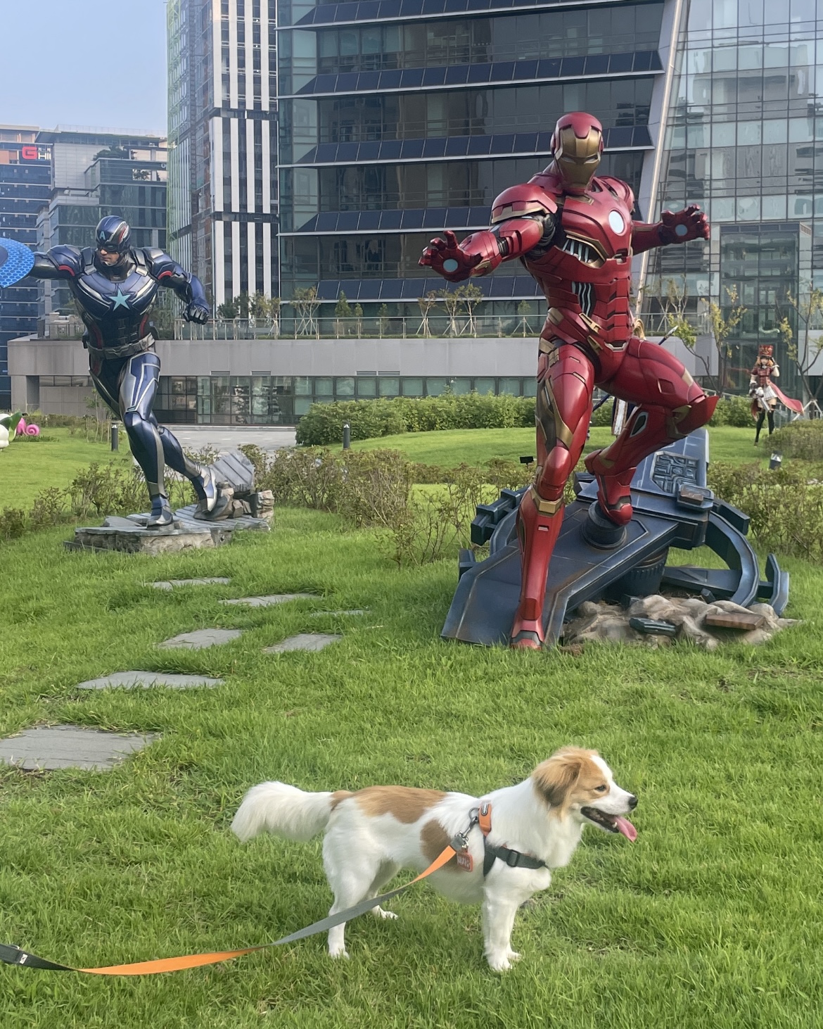 ‘해치’ 입양 한달