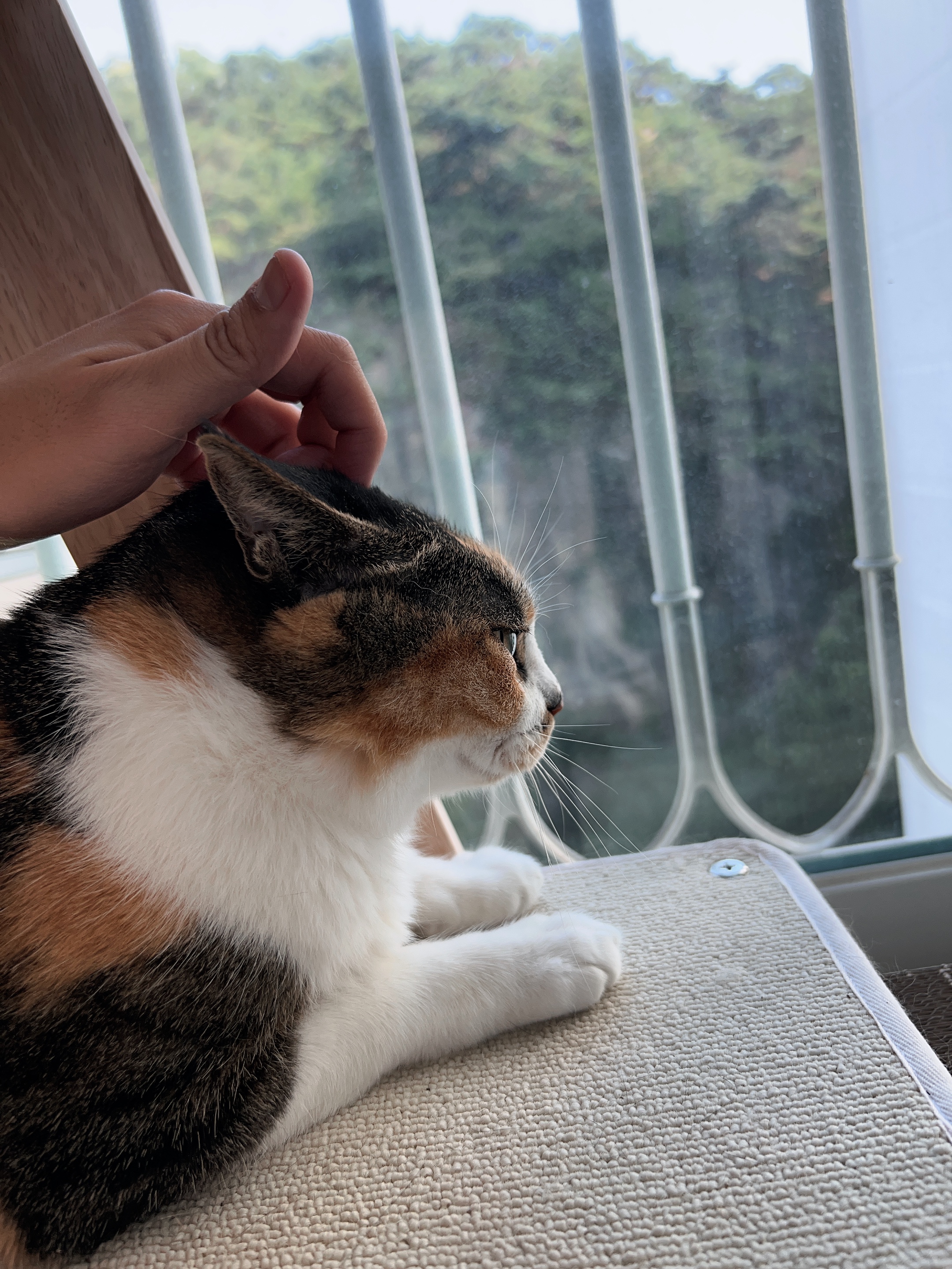 샹떼랑 조금 더 친해진 한 달 후기입니다~