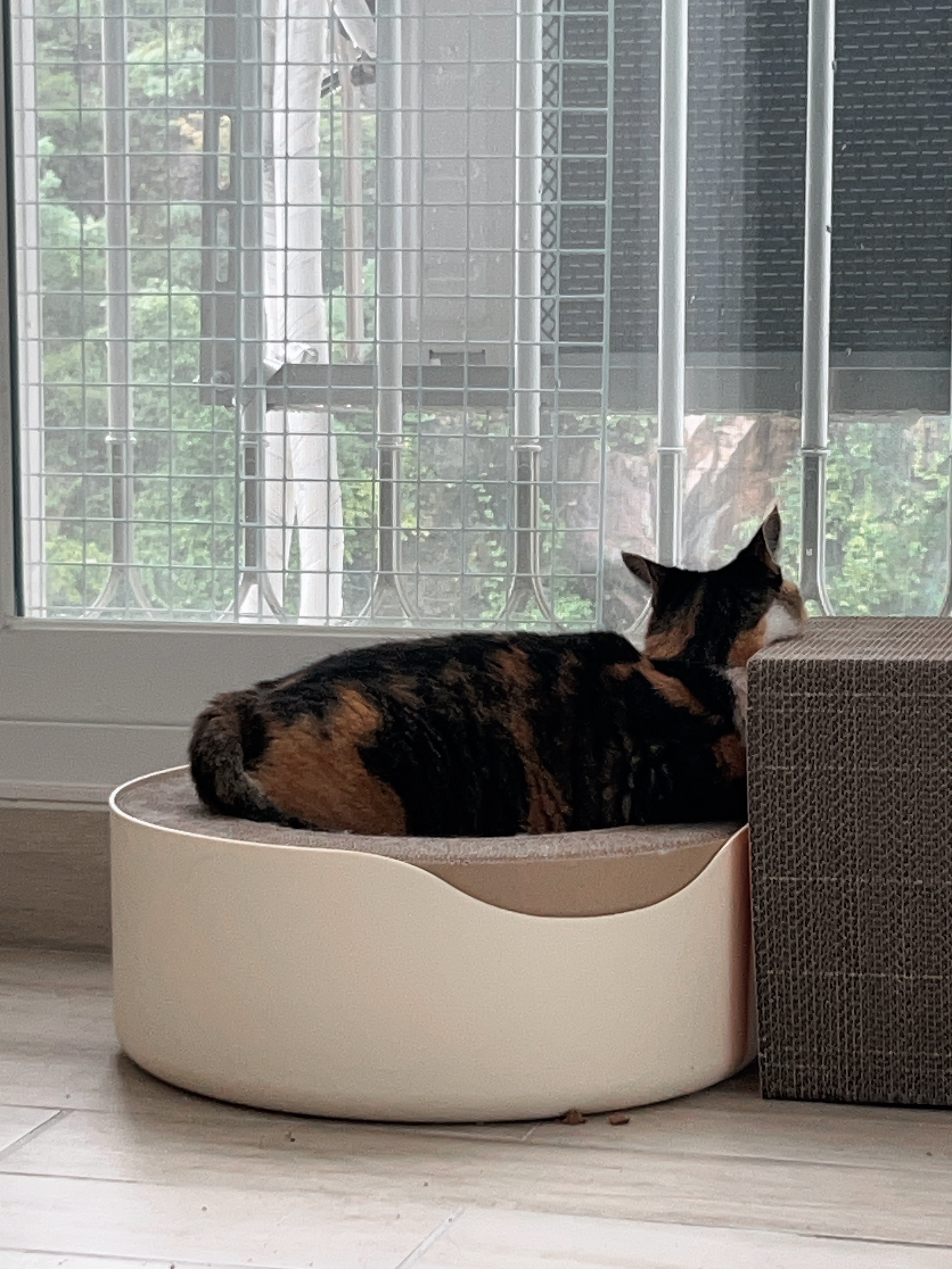 샹떼랑 조금 더 친해진 한 달 후기입니다~