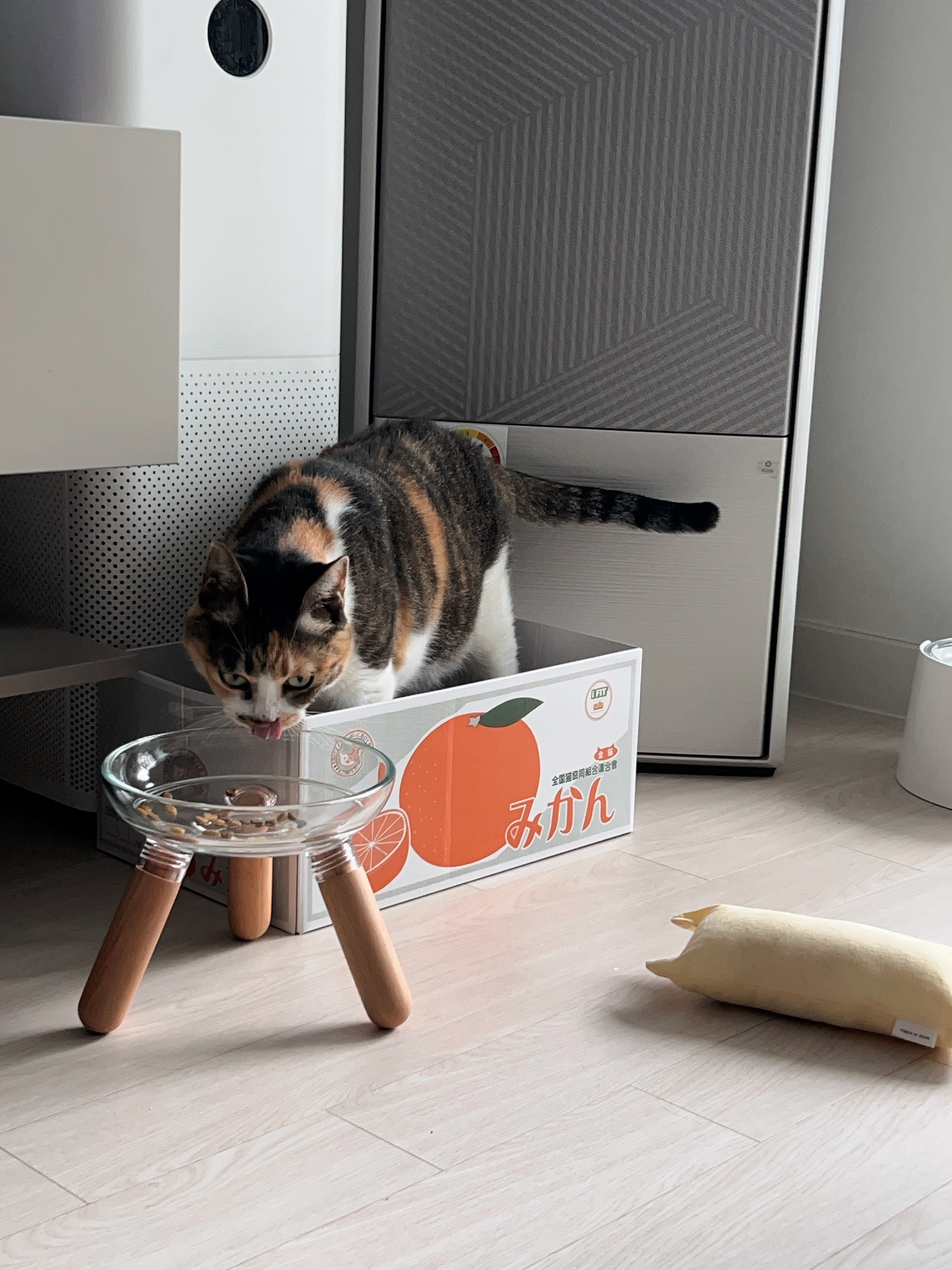 샹떼랑 조금 더 친해진 한 달 후기입니다~