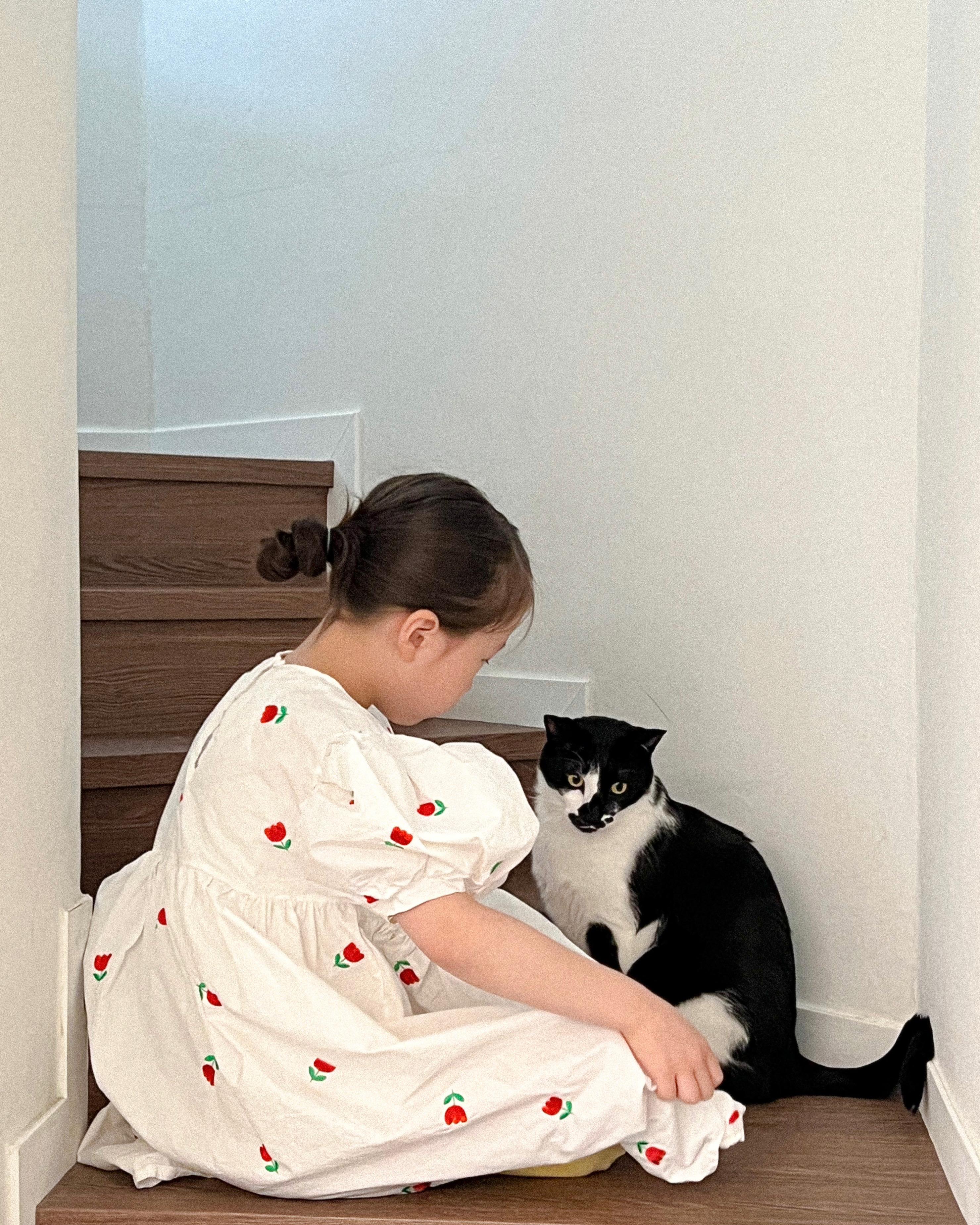 레오(라운이) 입양 2년 근황입니다!