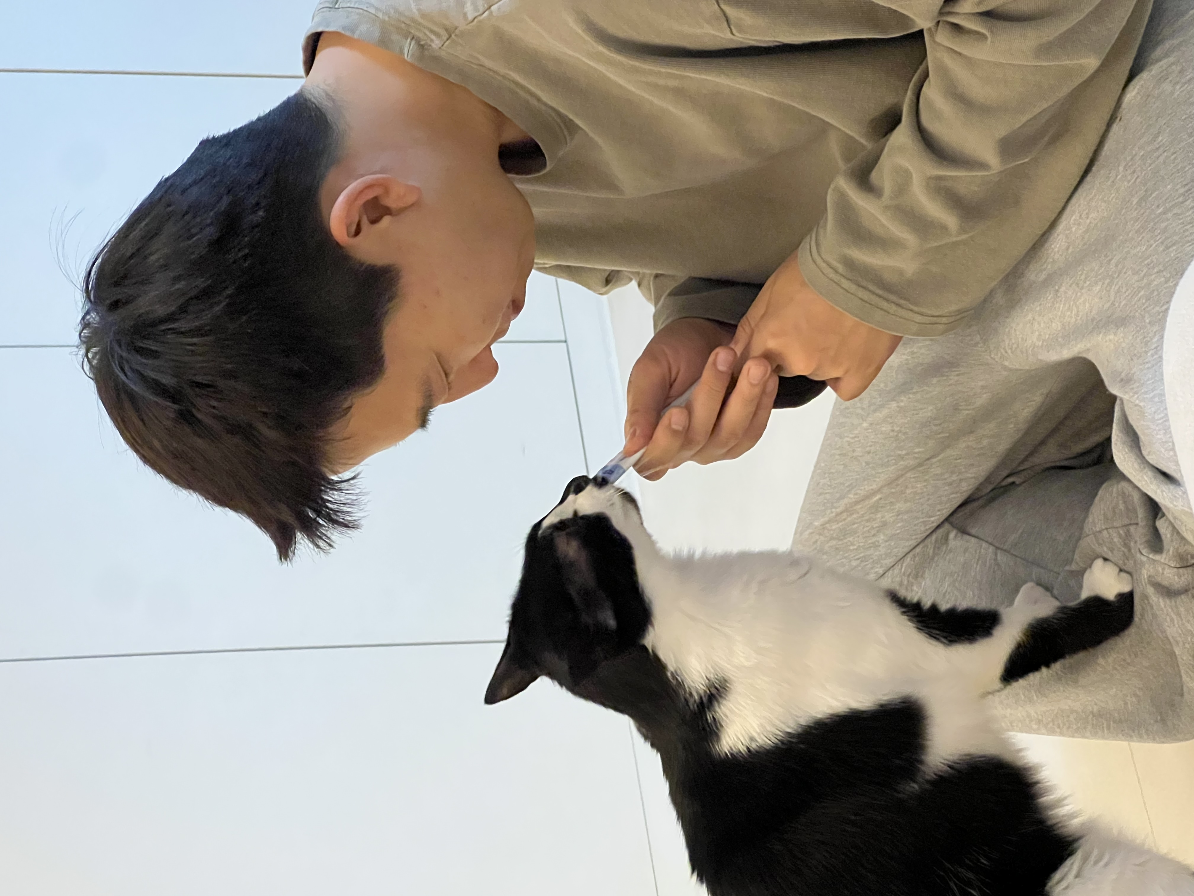 레오(라운이) 입양 2년 근황입니다!