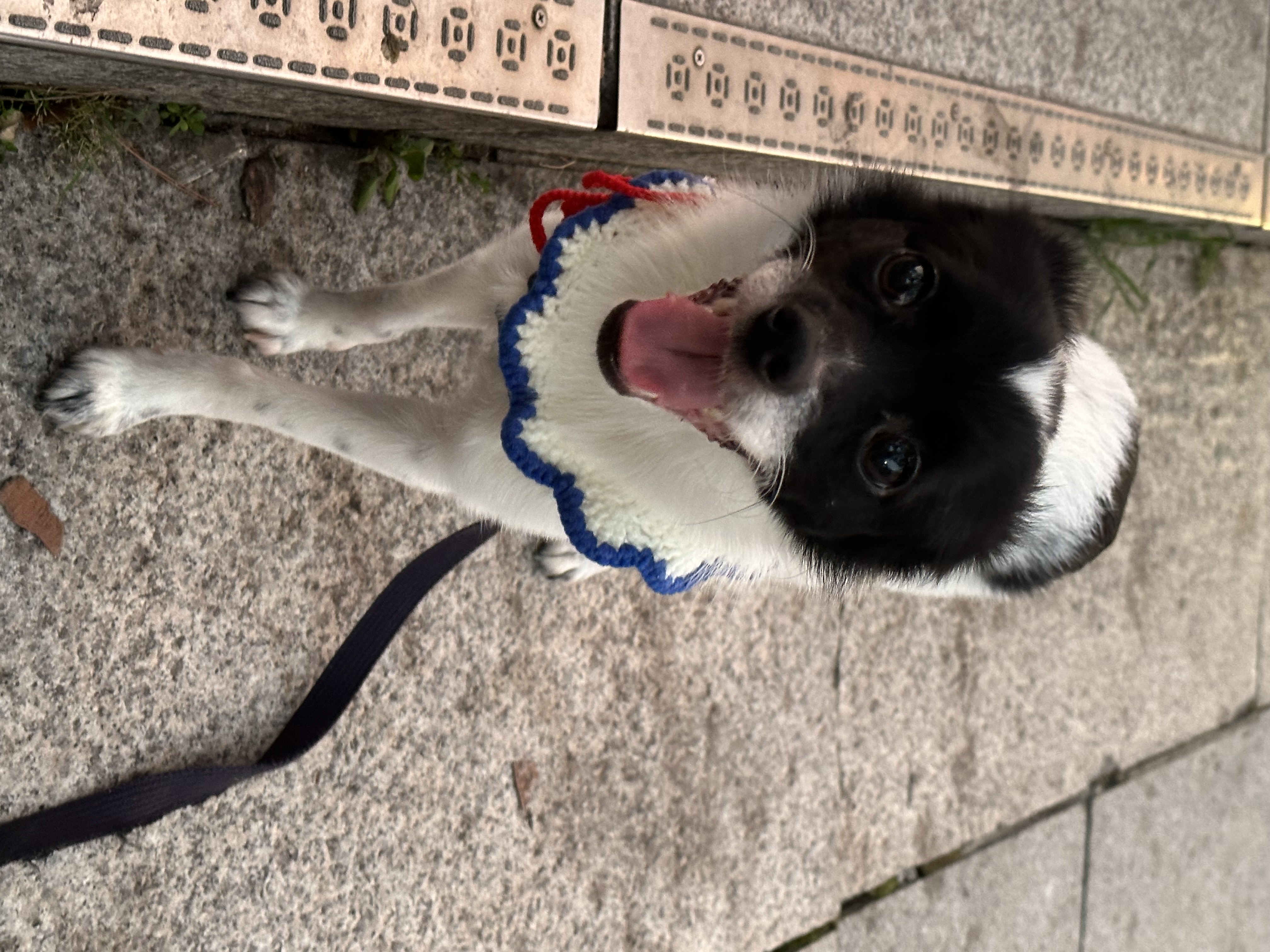 다온이(루루) 6개월 차 :)