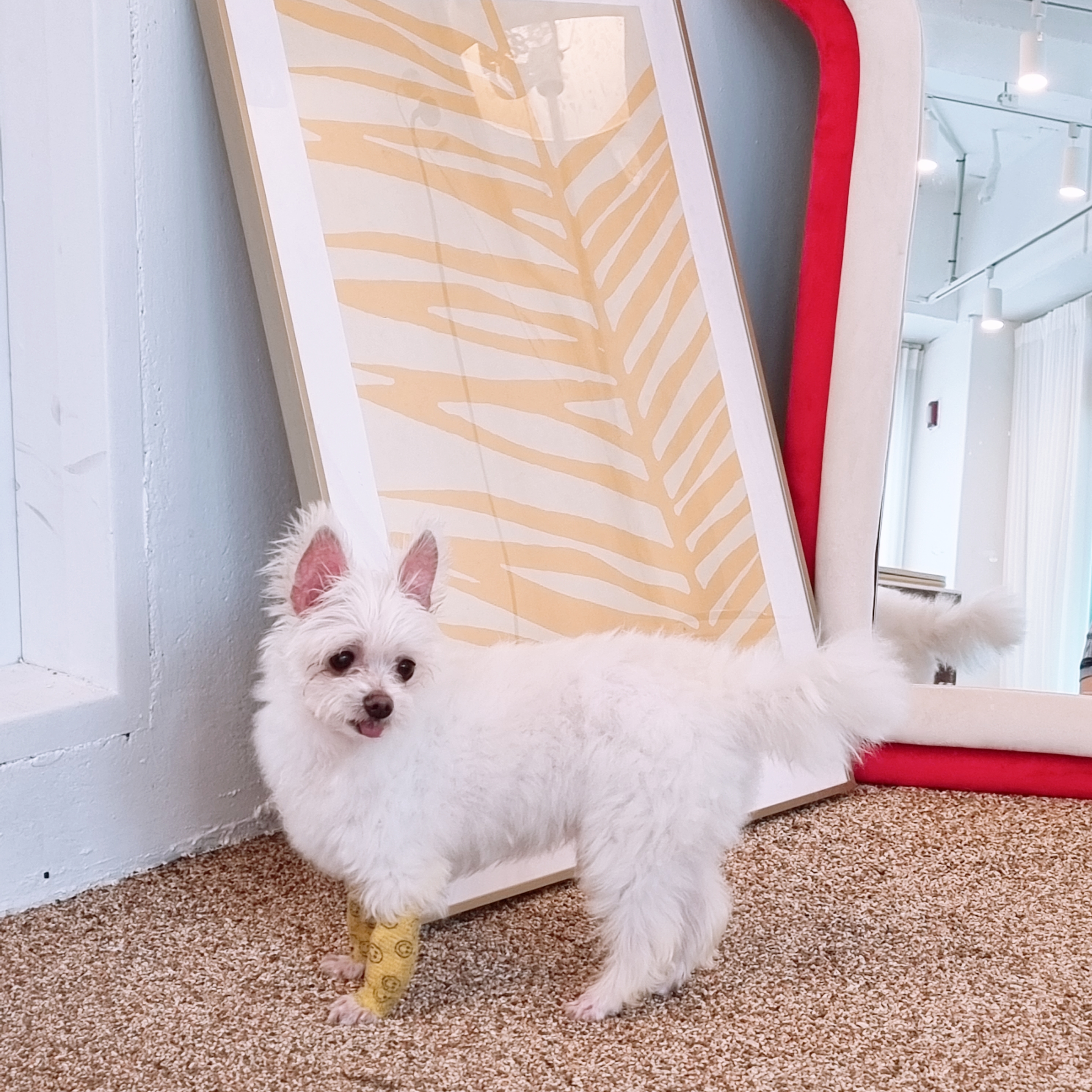 꾸미(익준이)의 8월 한 달 이야기💕