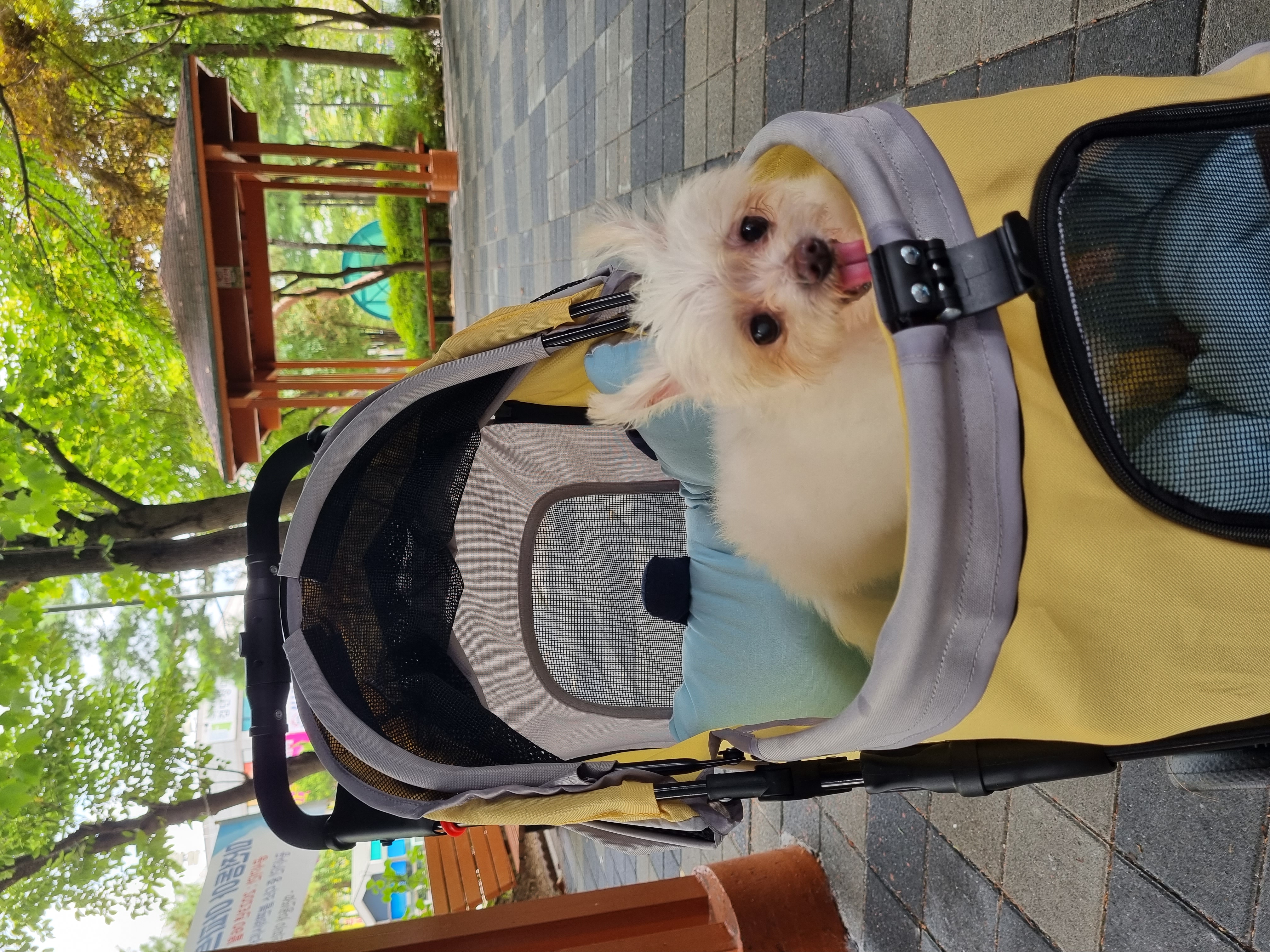 꾸미(익준이)의 8월 한 달 이야기💕