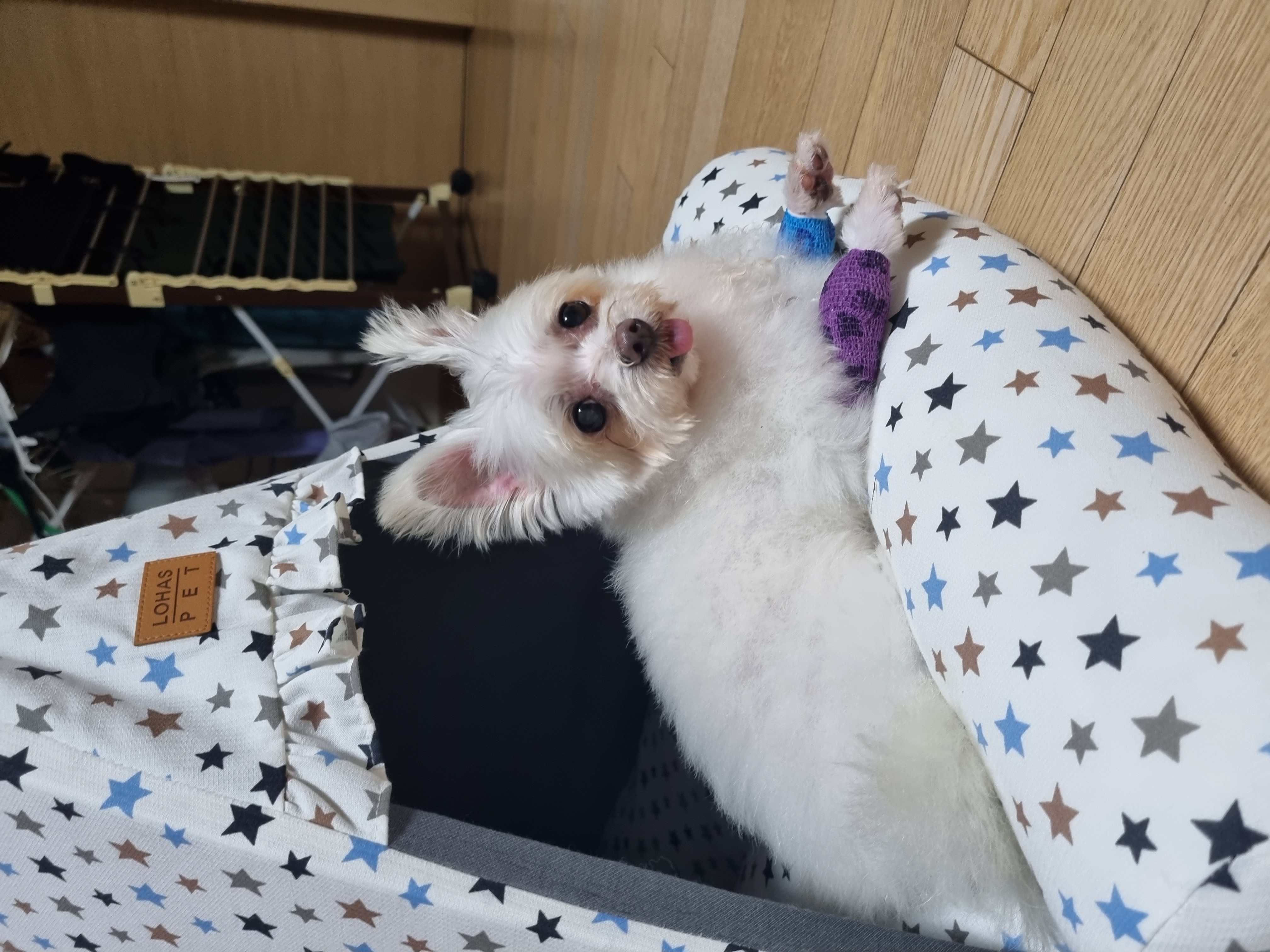 꾸미(익준이)의 8월 한 달 이야기💕