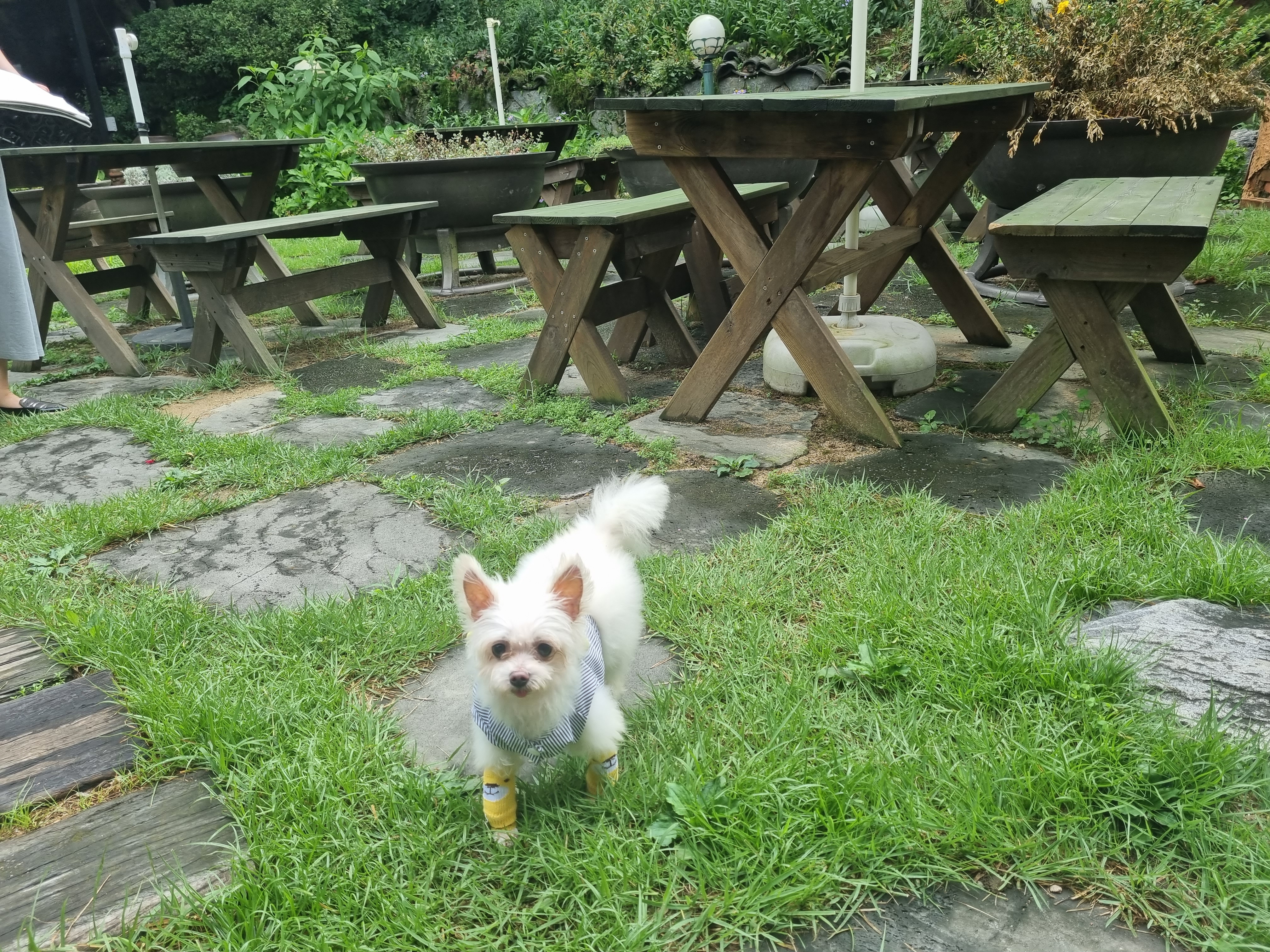 꾸미(익준이)의 8월 한 달 이야기💕