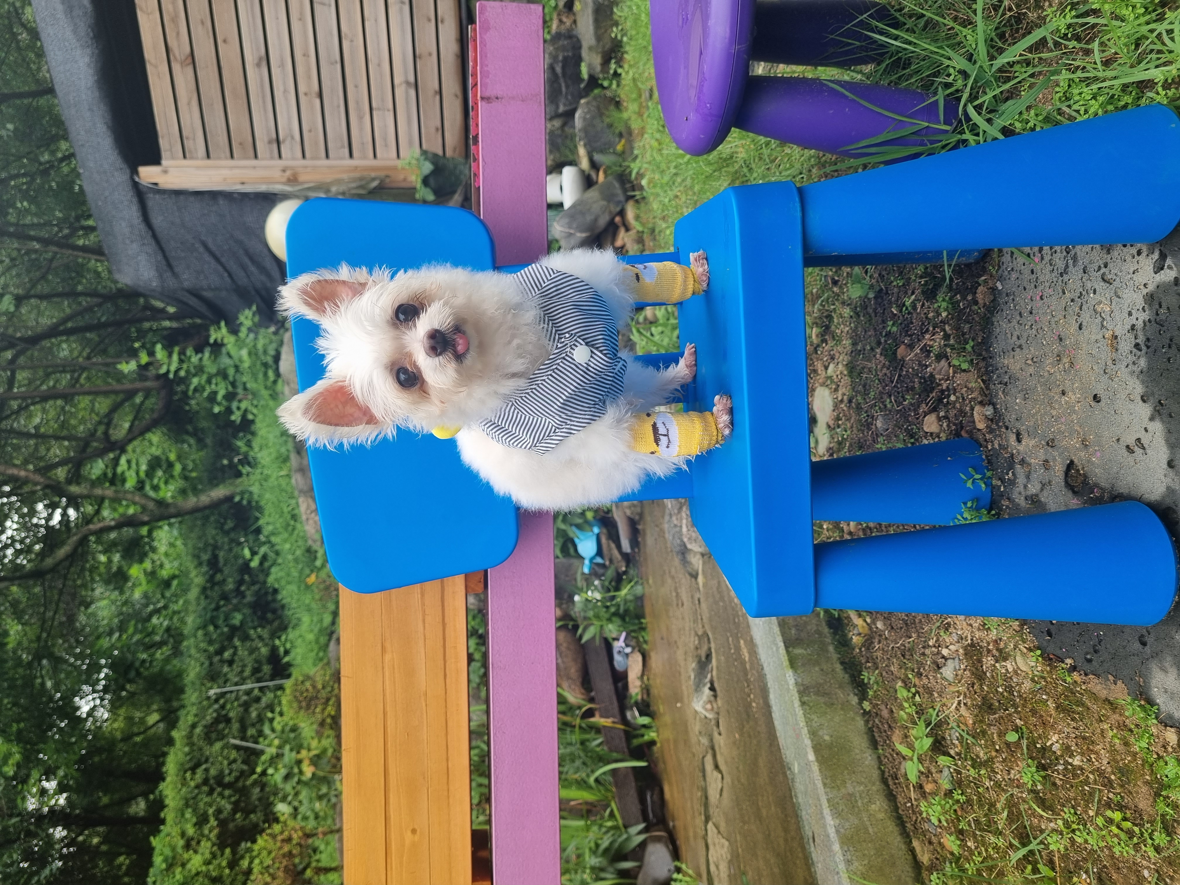 꾸미(익준이)의 8월 한 달 이야기💕