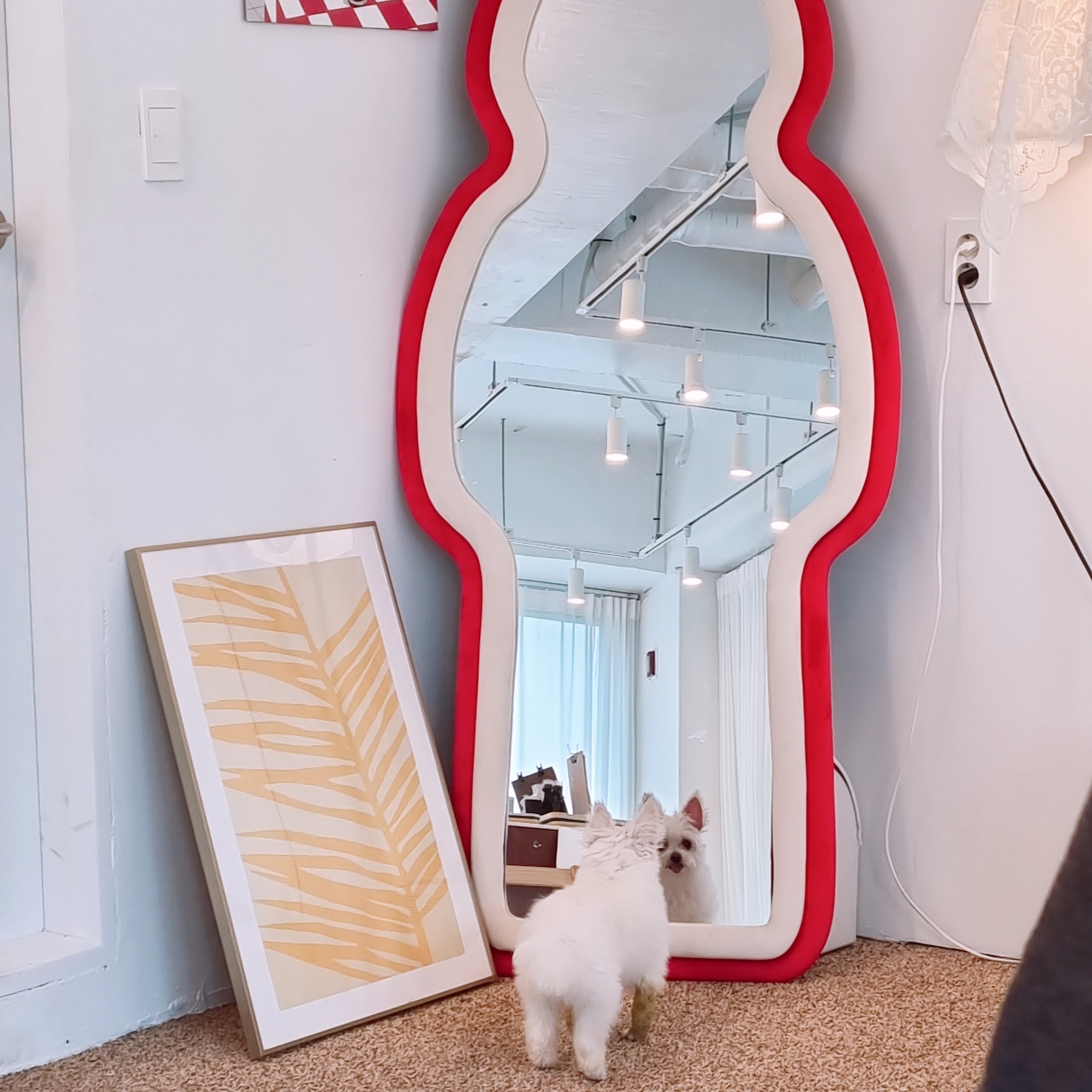 꾸미(익준이)의 8월 한 달 이야기💕