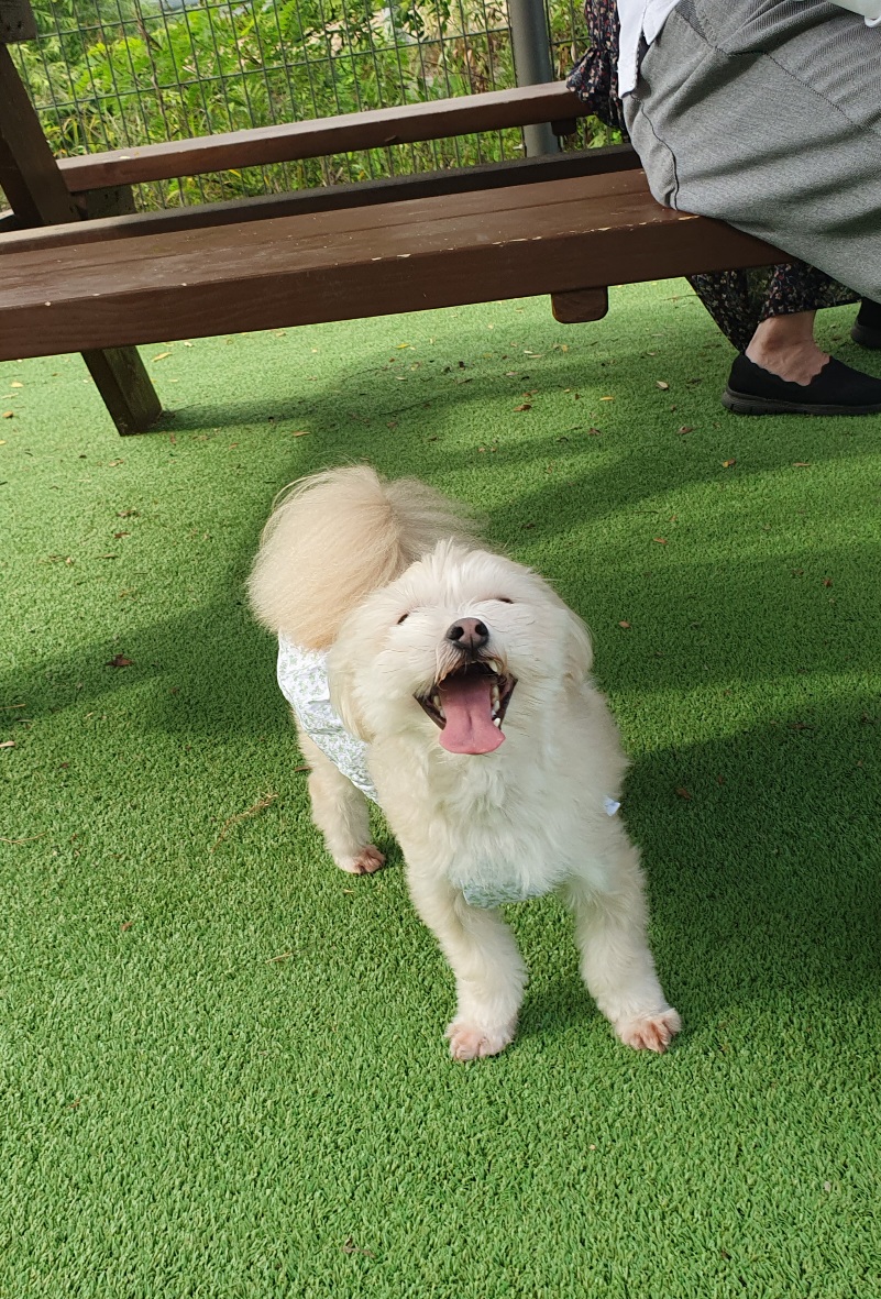 산쵸(오유)와 함께한 1년