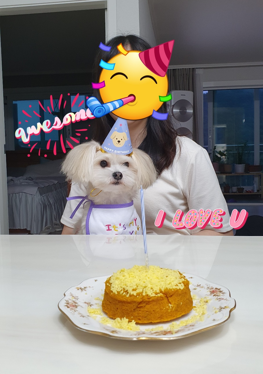 산쵸(오유)와 함께한 1년