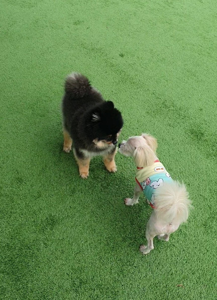 산쵸(오유)와 함께한 1년