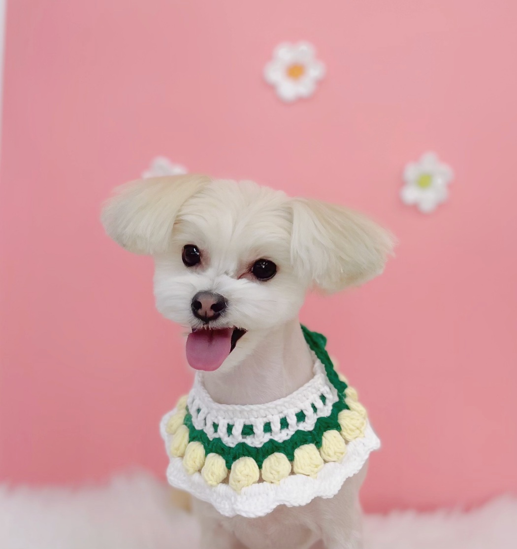 산쵸(오유)와 함께한 1년