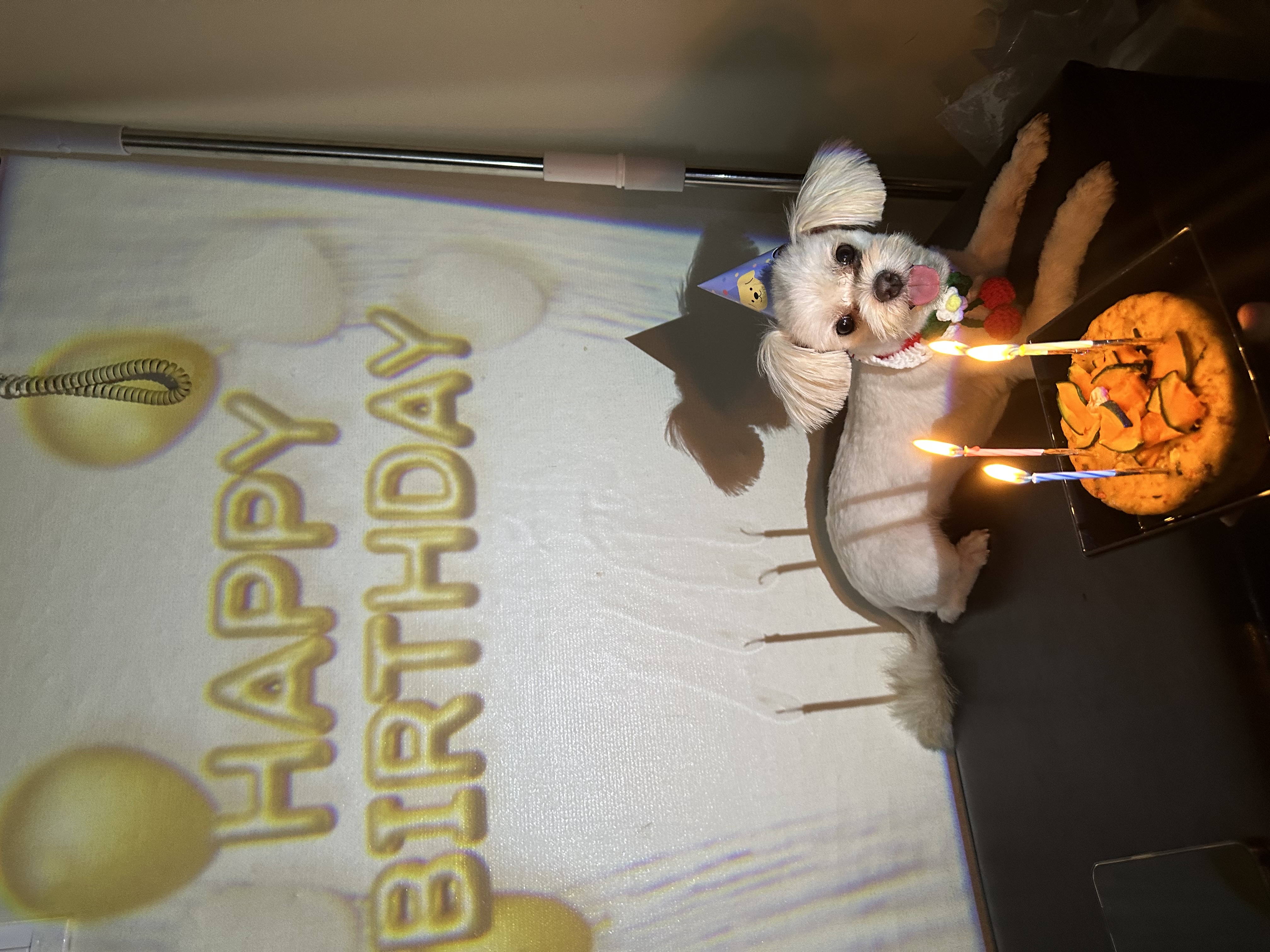 설기(구 오식이)