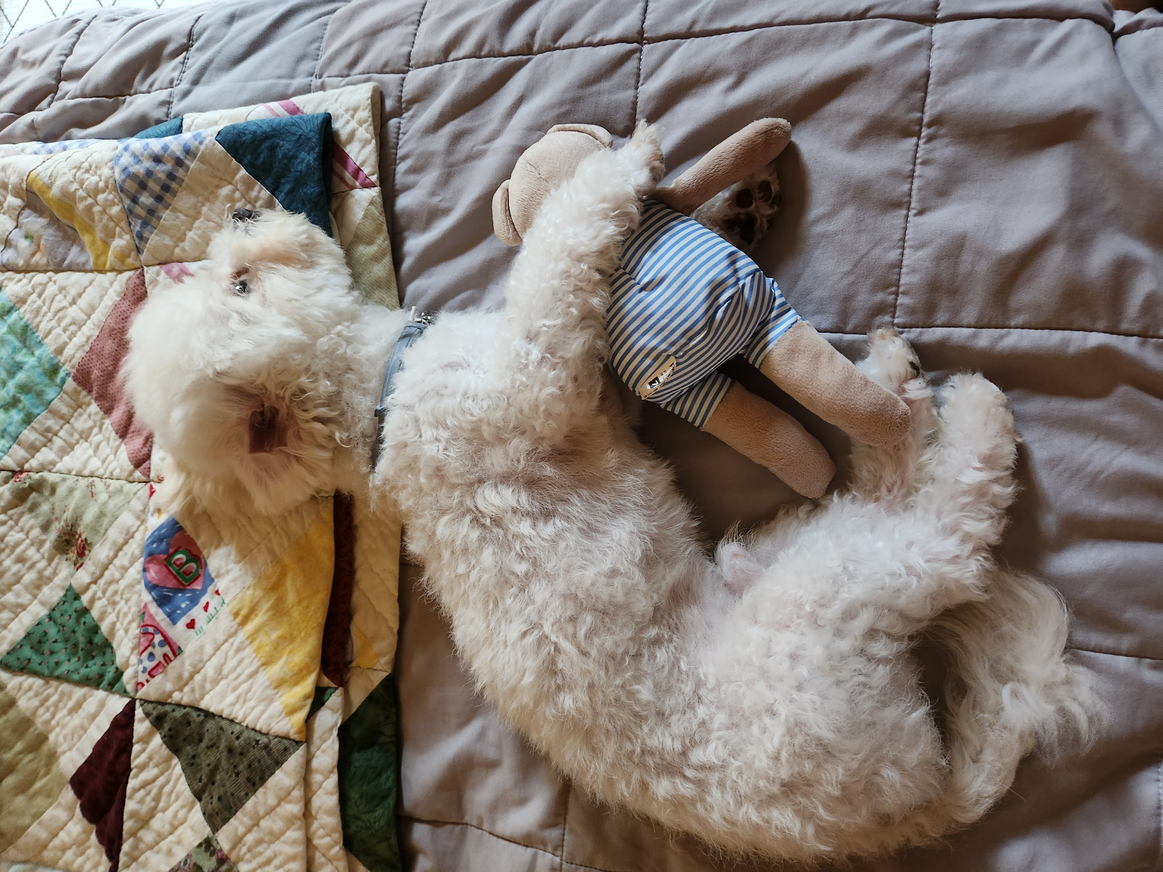 도담(말랭)이의 한달 이야기