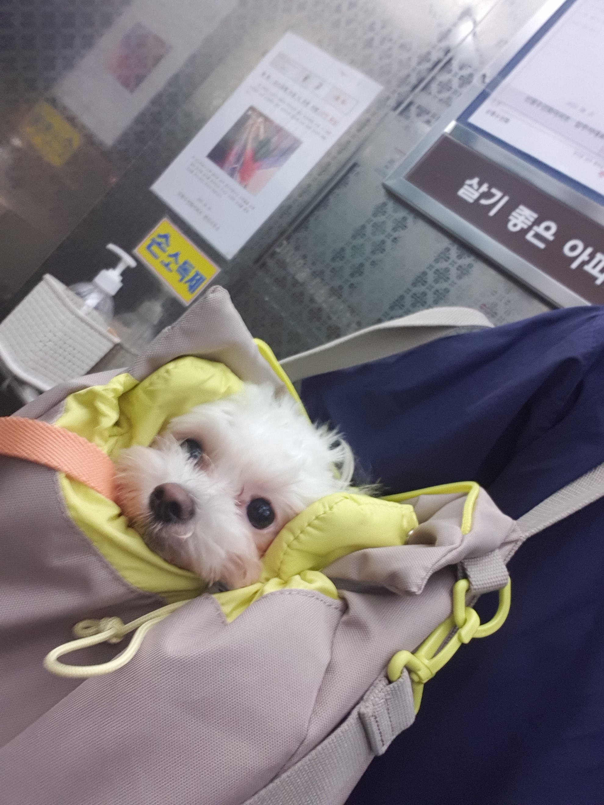 베베(말론)의 한달 차 이야기 