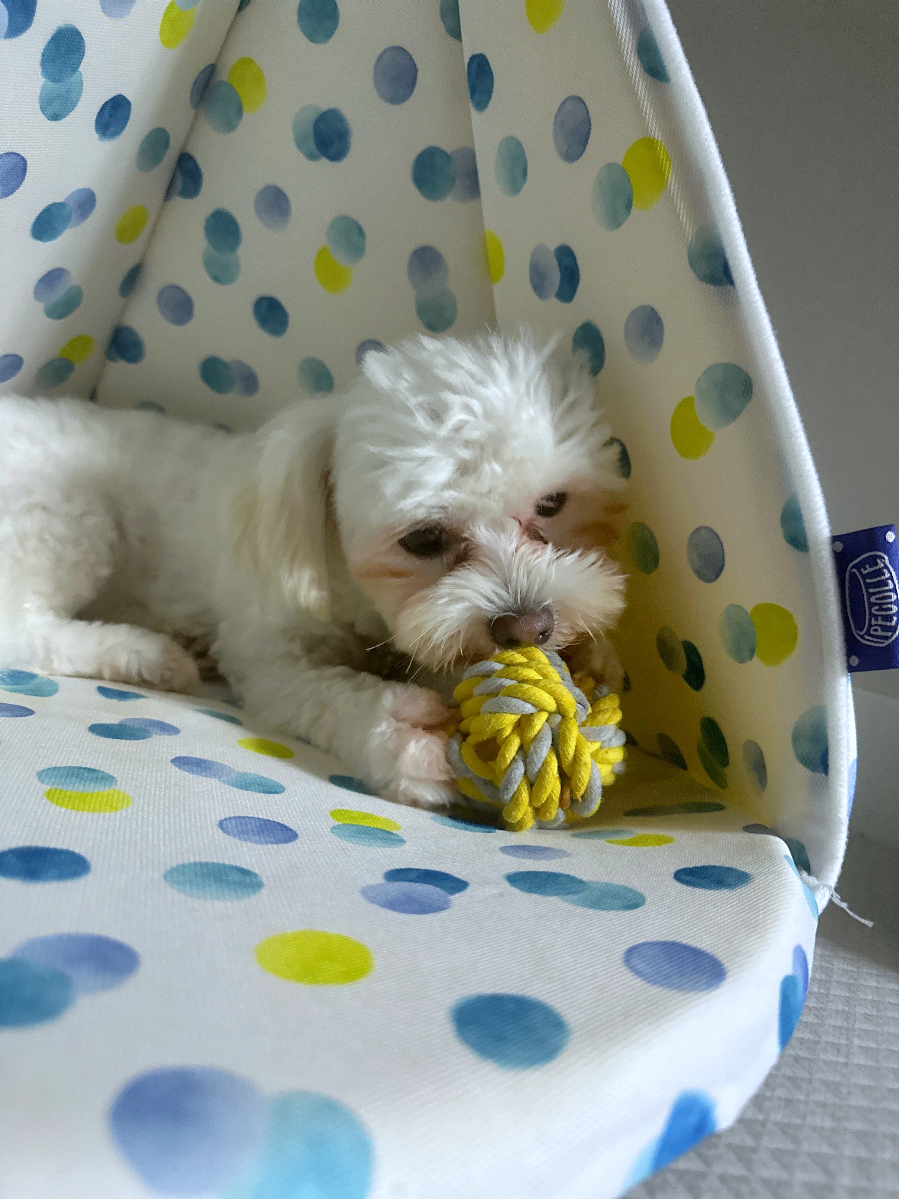 베베(말론)의 한달 차 이야기 