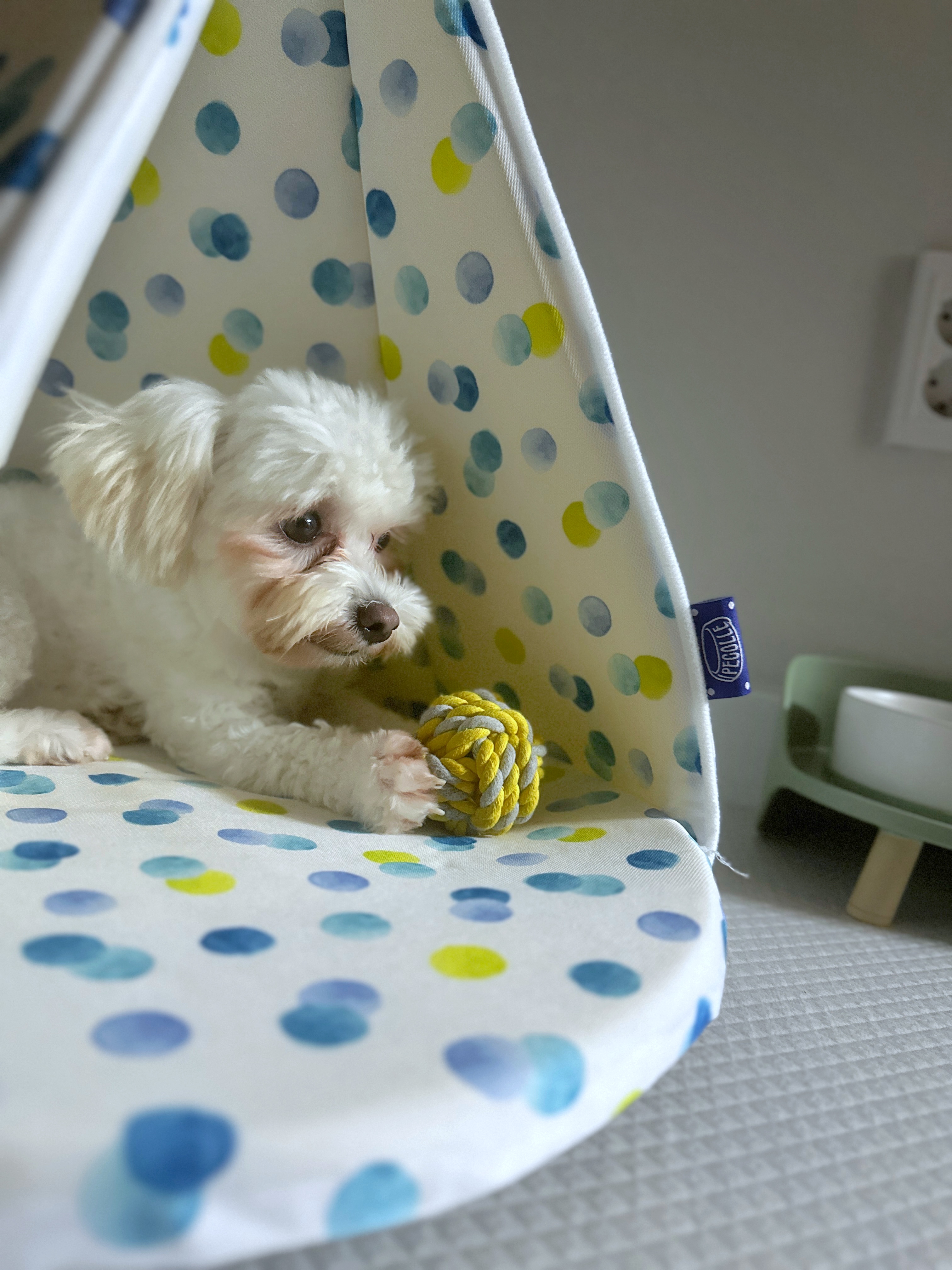 베베(말론)의 한달 차 이야기 