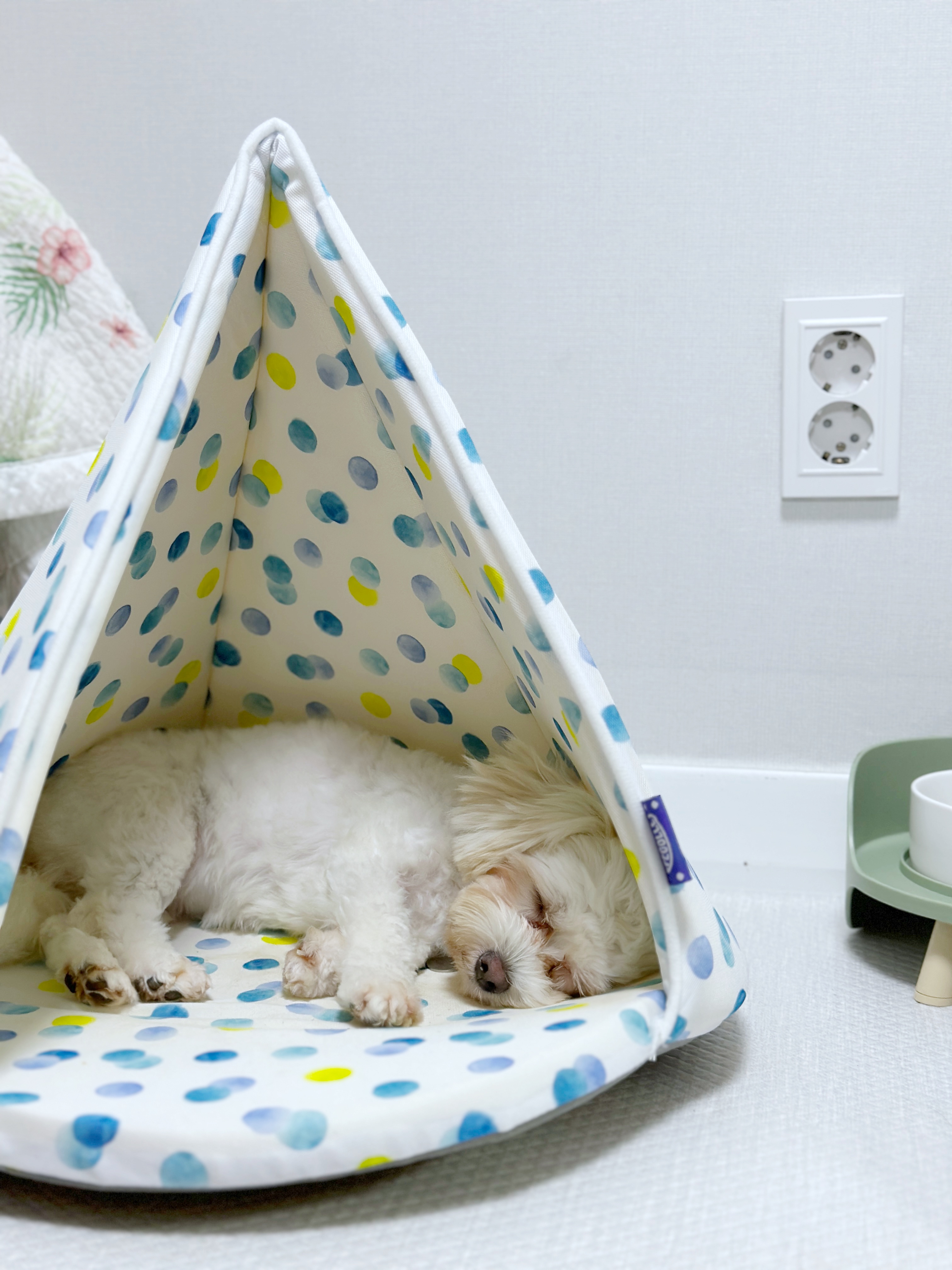 베베(말론)의 한달 차 이야기 