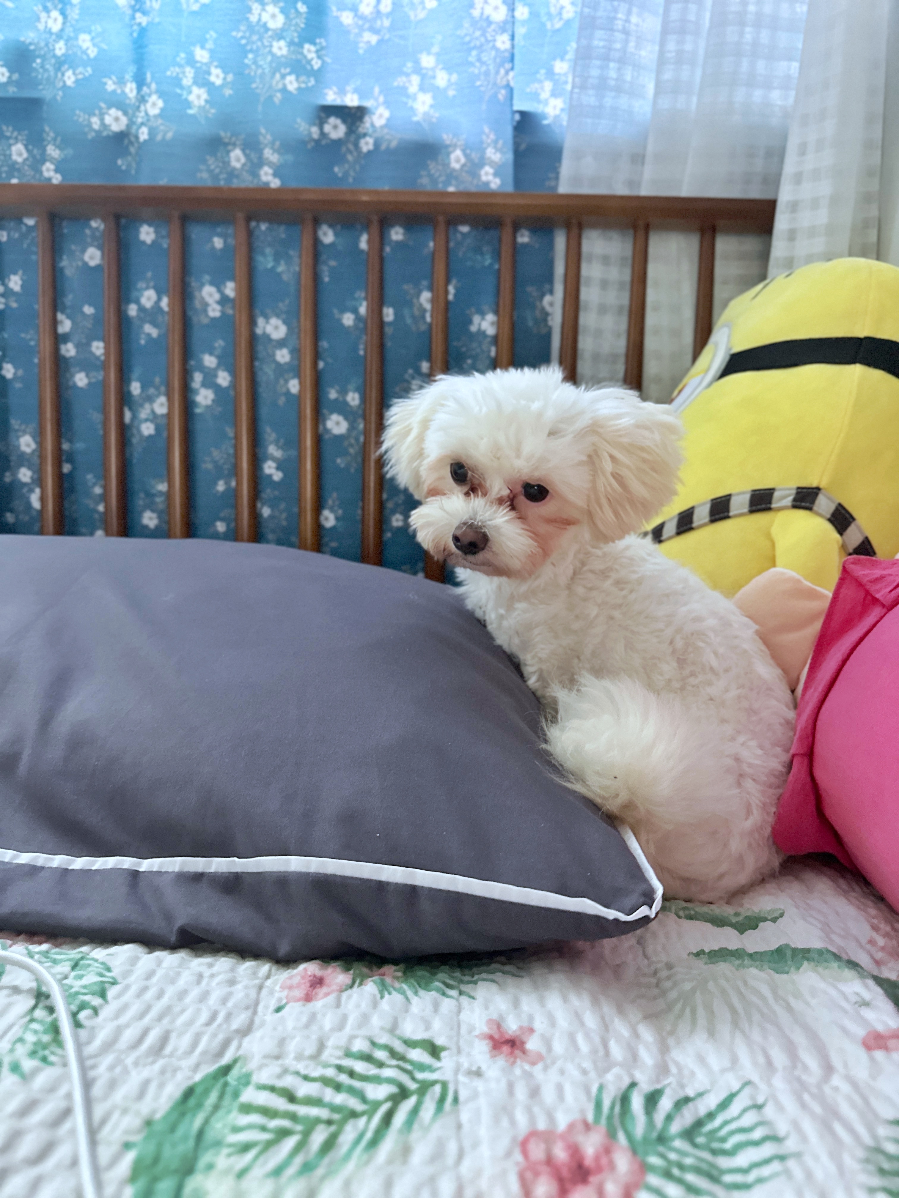 베베(말론)의 한달 차 이야기 