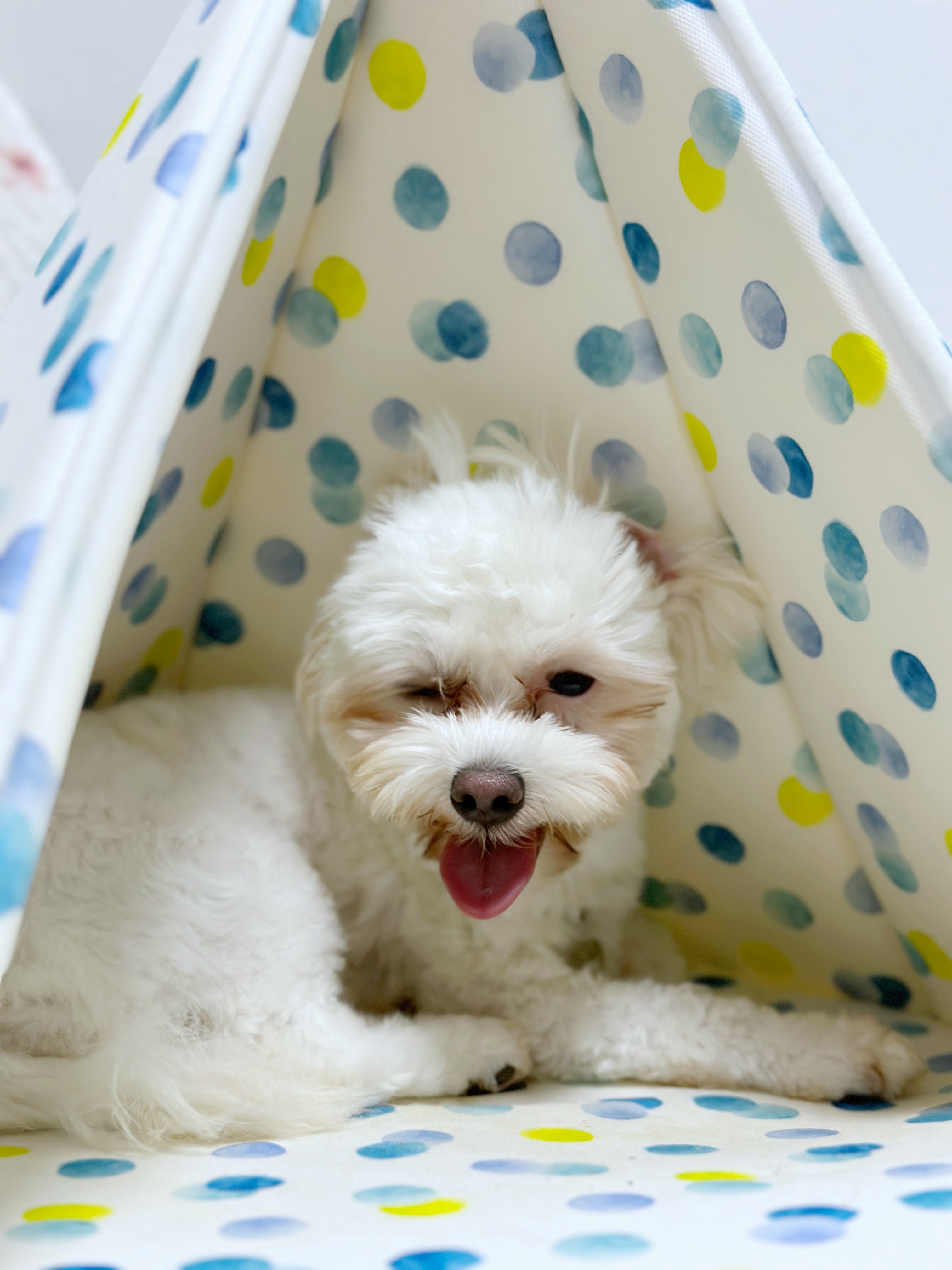 베베(말론)의 한달 차 이야기 