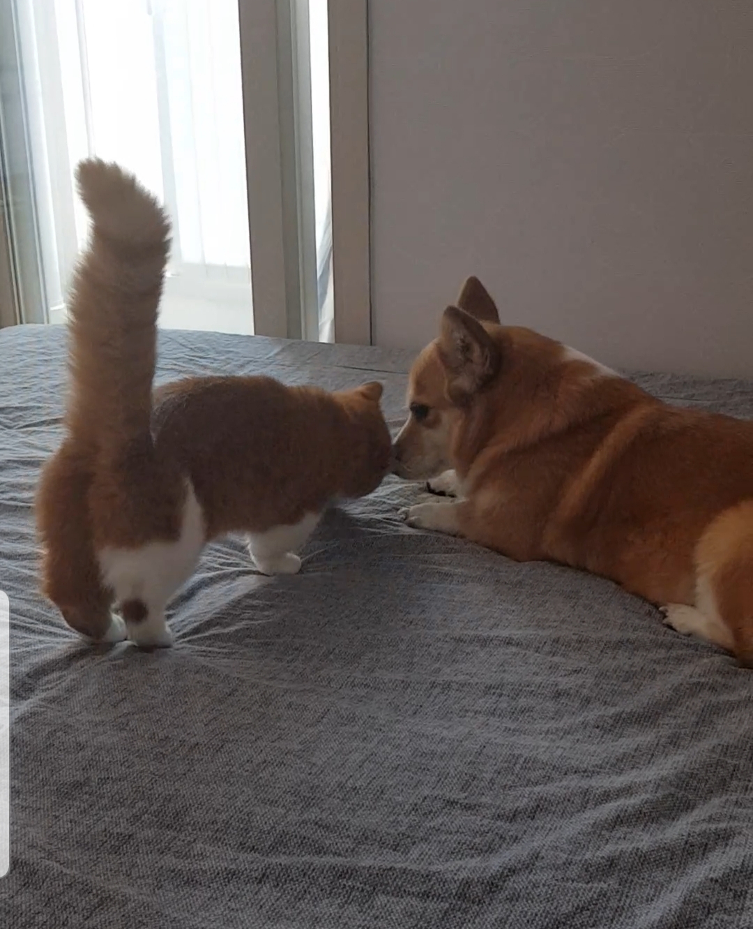 엘리스 잘지내요