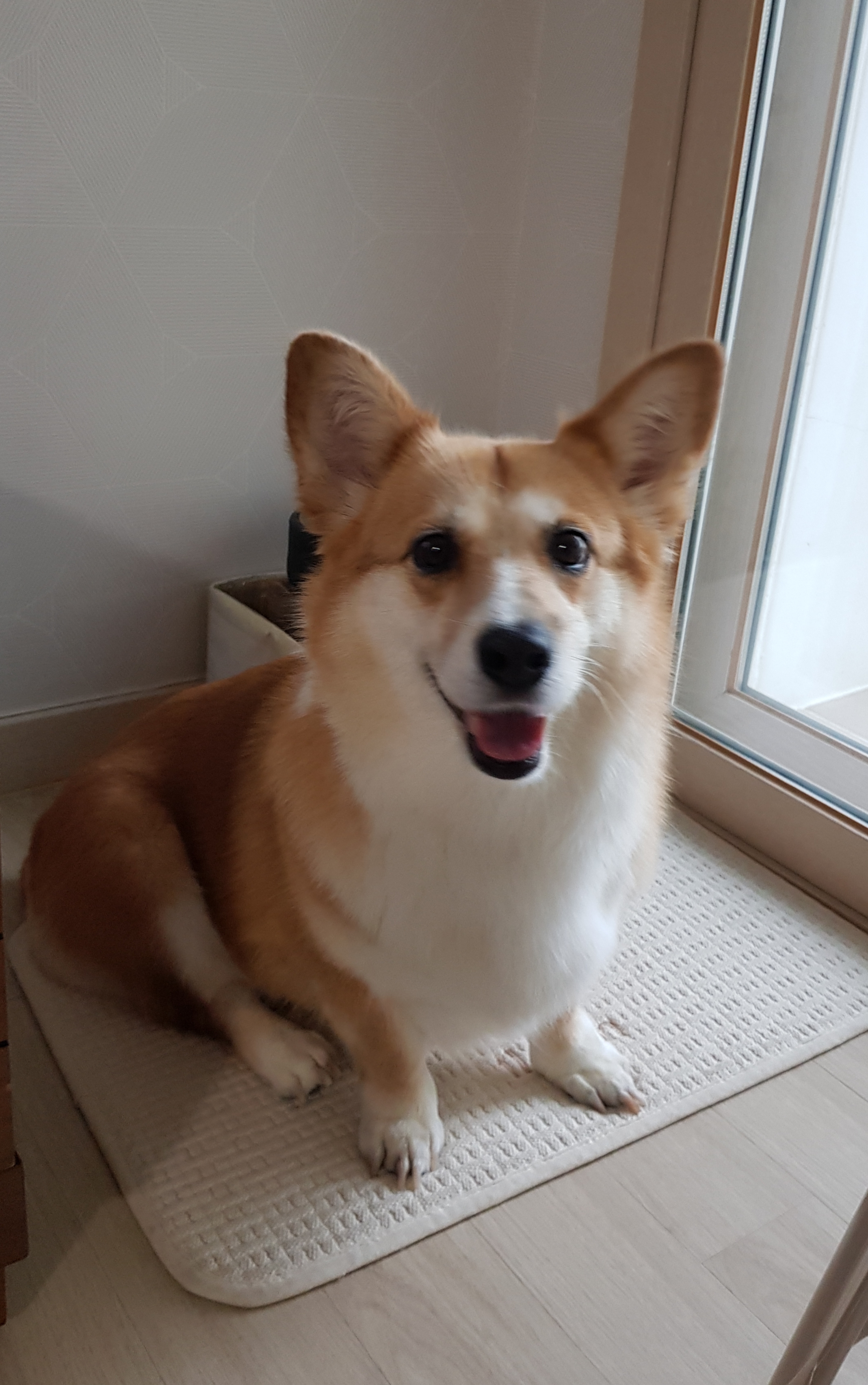 엘리스 잘지내요