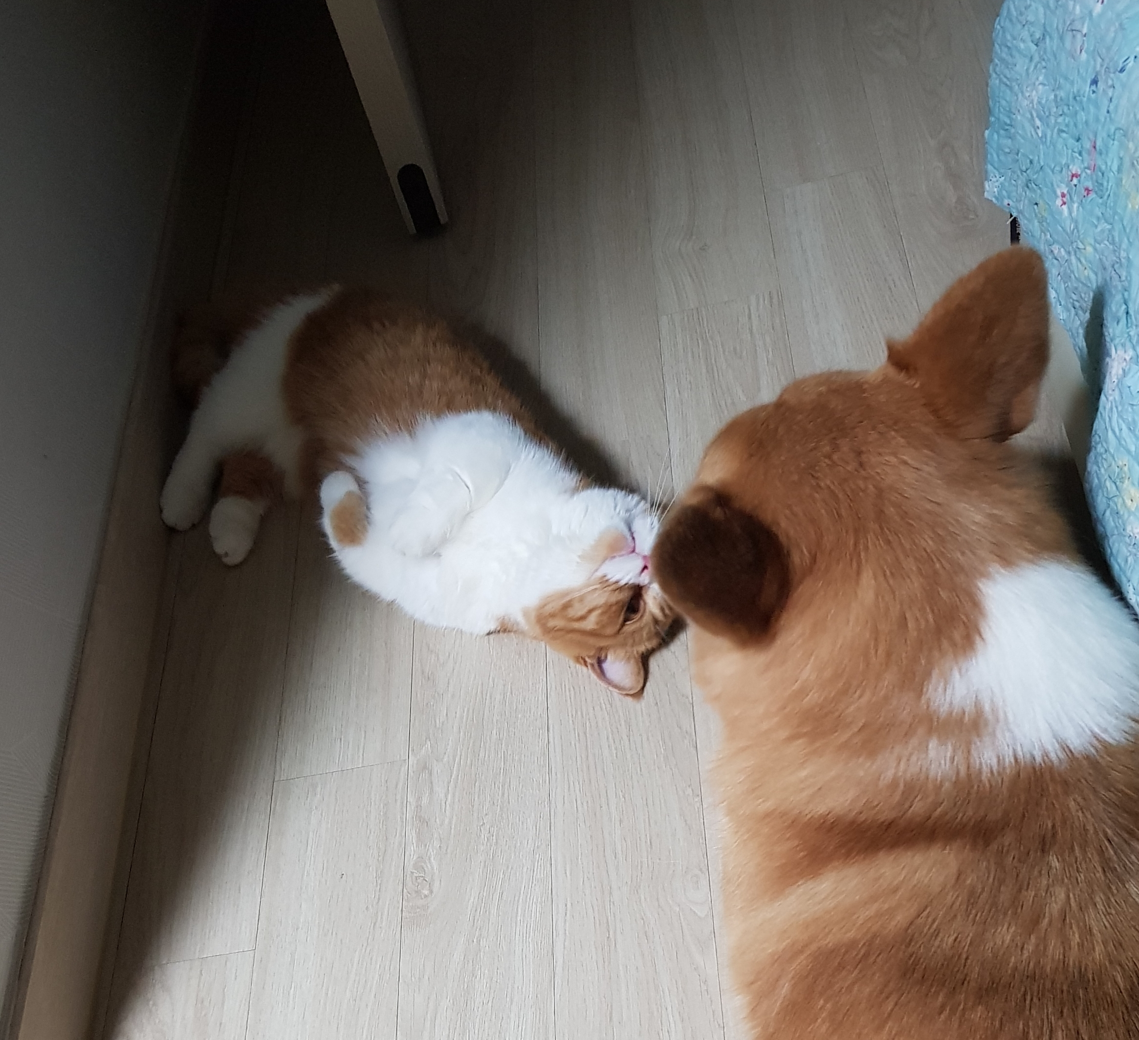 엘리스 잘지내요