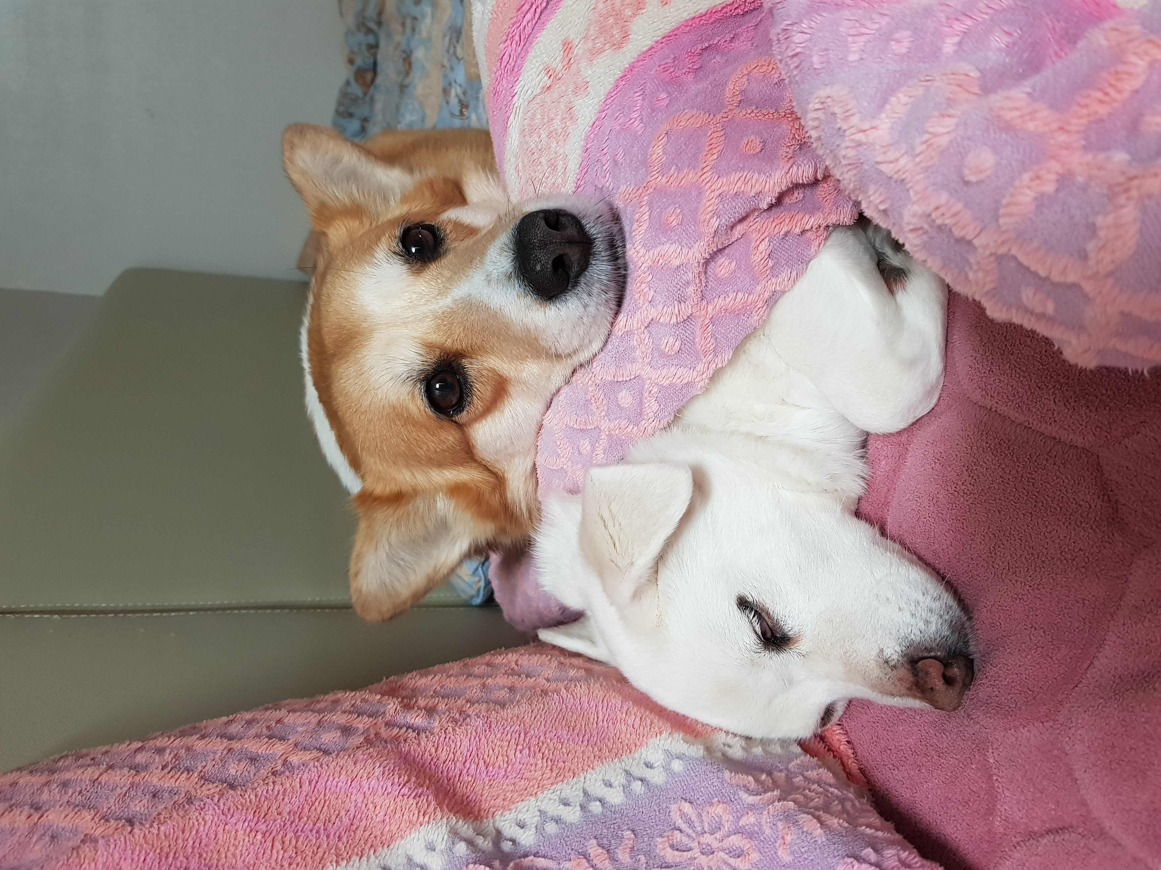 엘리스 잘지내요