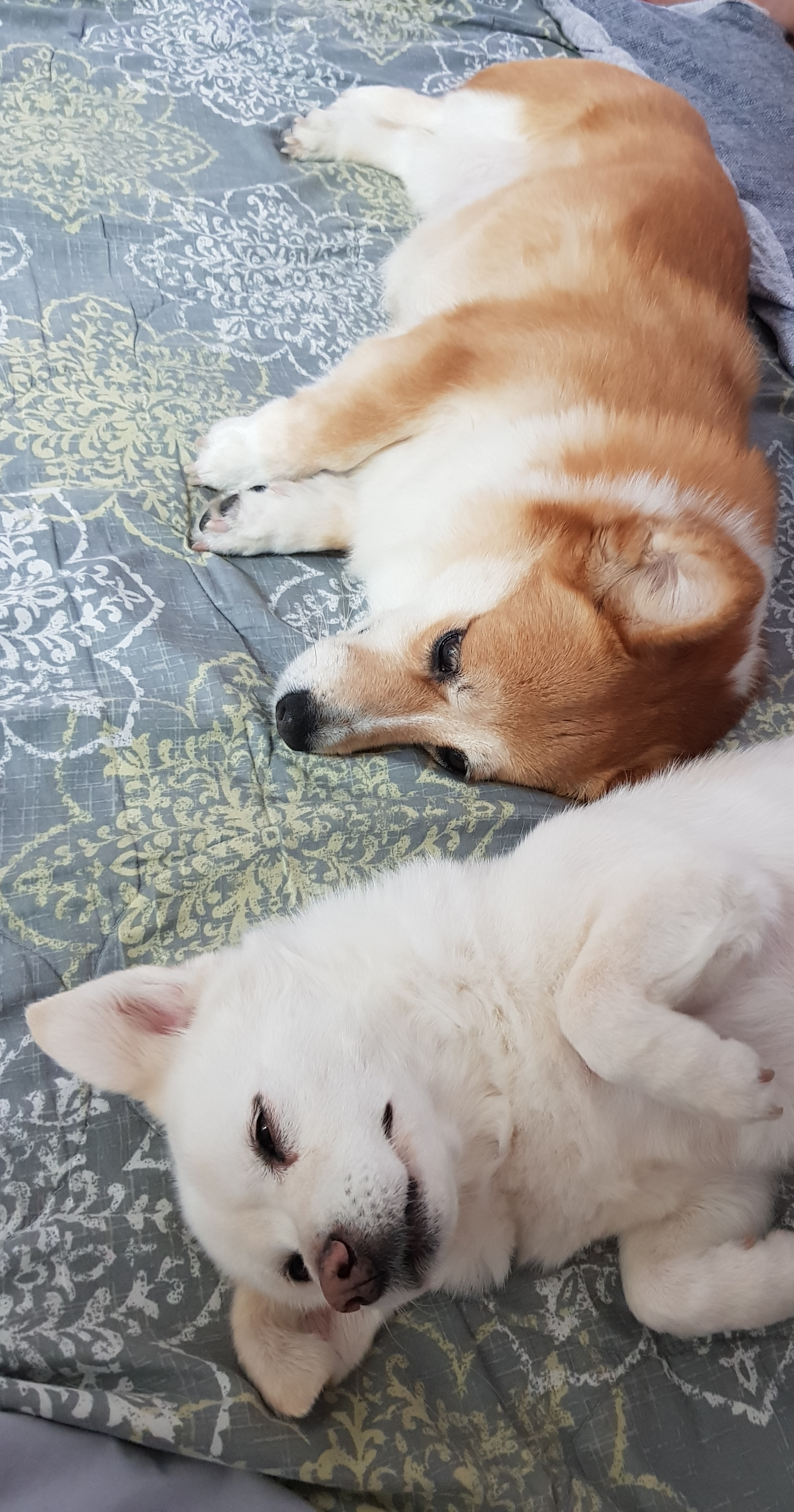 엘리스 잘지내요