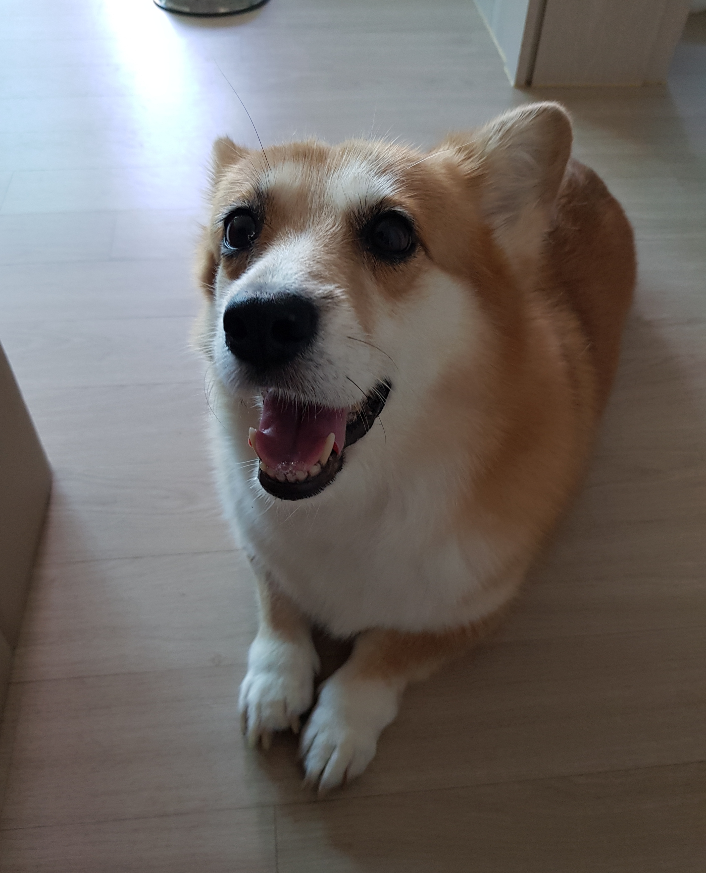 엘리스 잘지내요