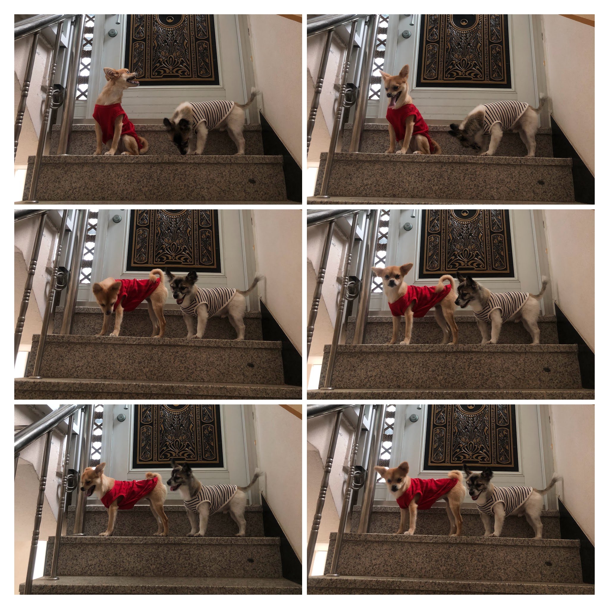 미로(구 오원) 1년 이야기